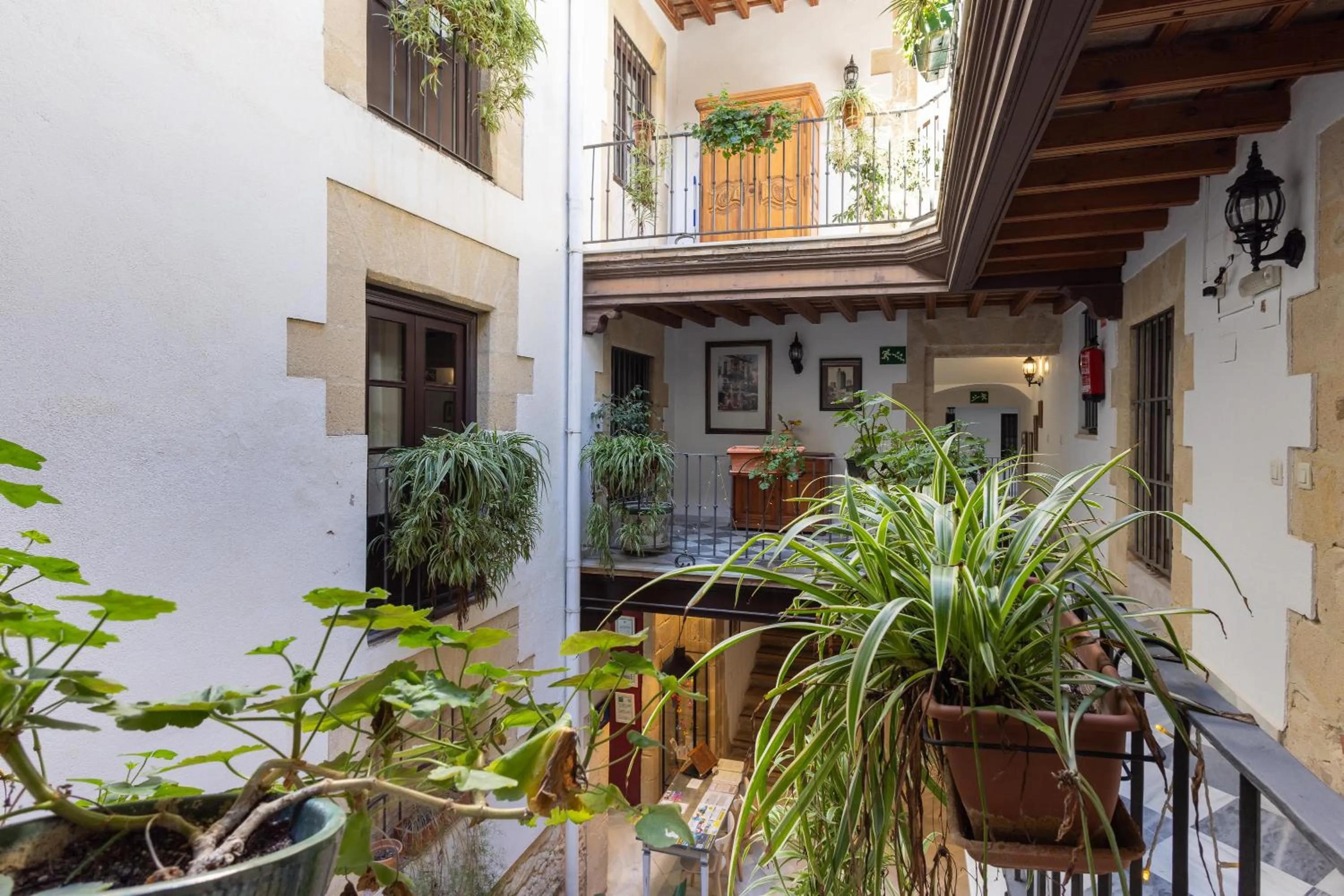 Casa Palacio de los Leones