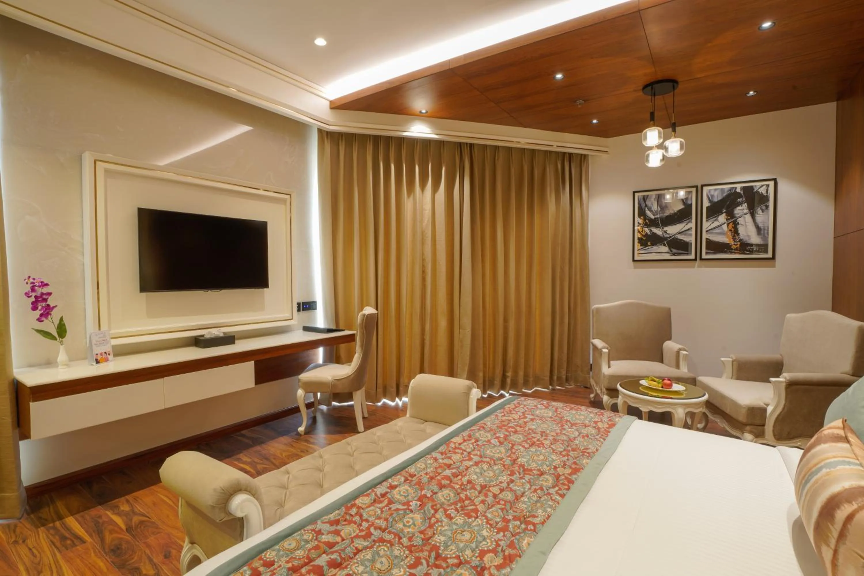 TV and multimedia in Regenta Place Chandigarh Mohali