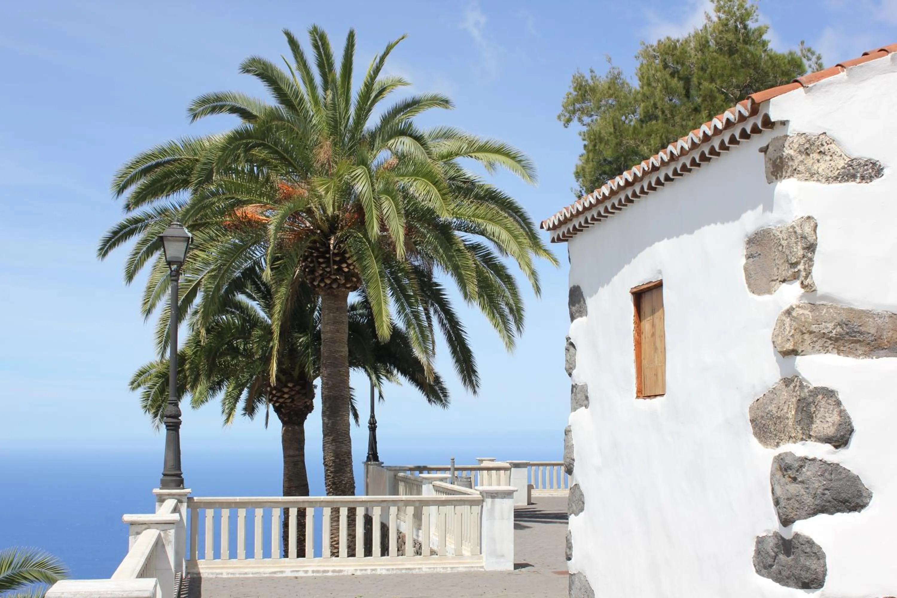 Natural landscape in Hotel Benahoare