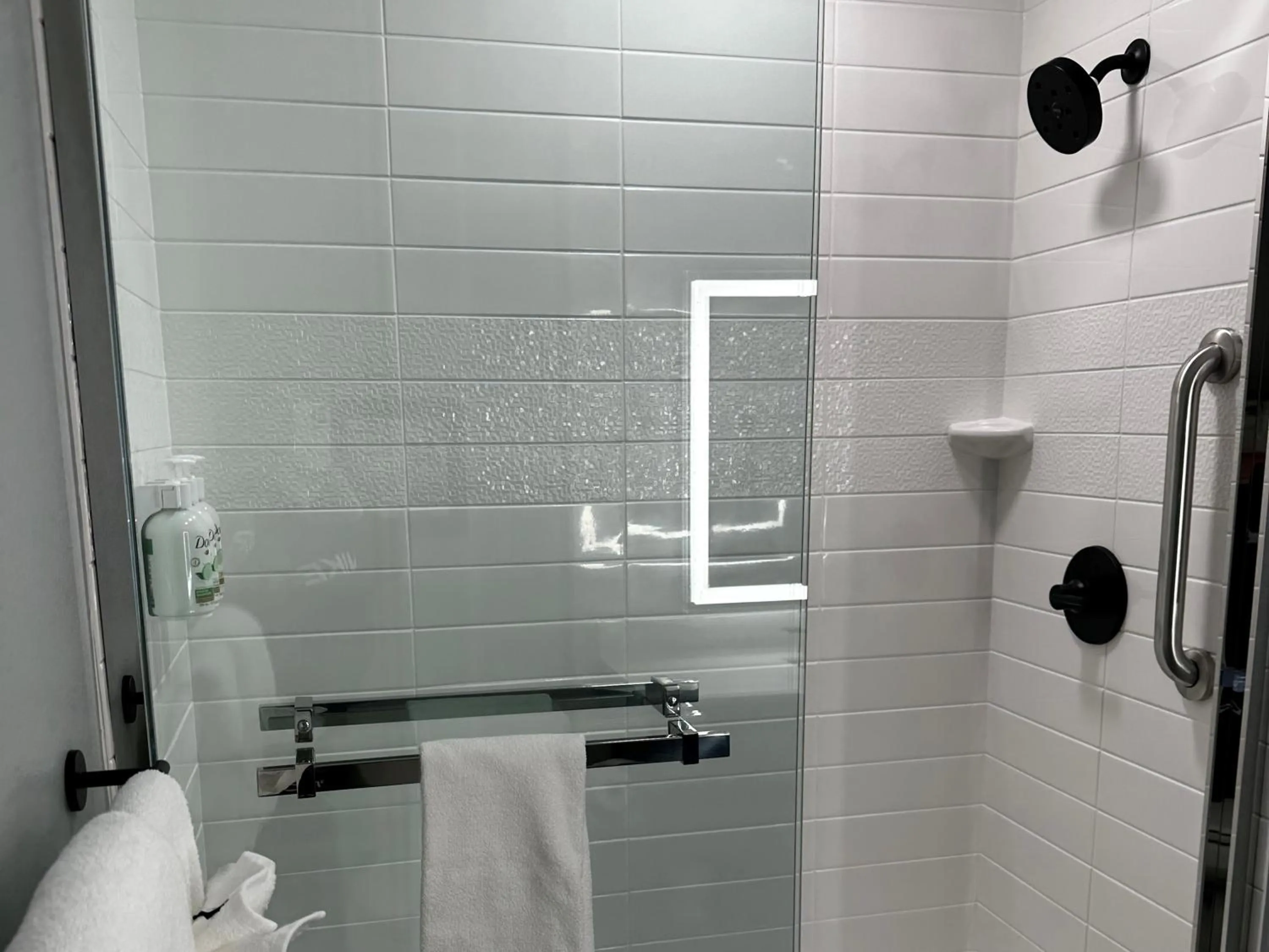 Shower in AmericInn by Wyndham Mountain Home