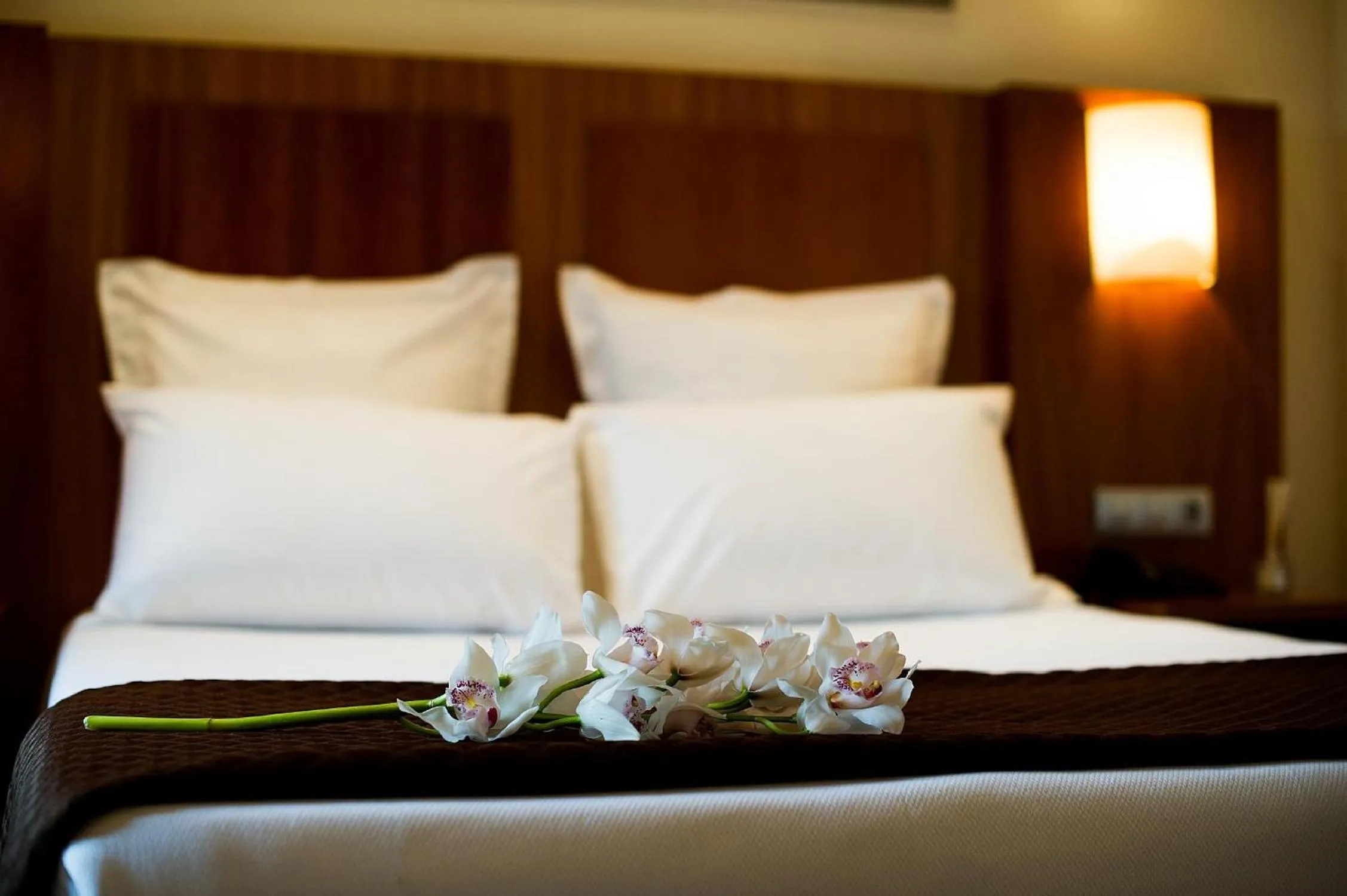 Bedroom, Bed in Leflet Valme