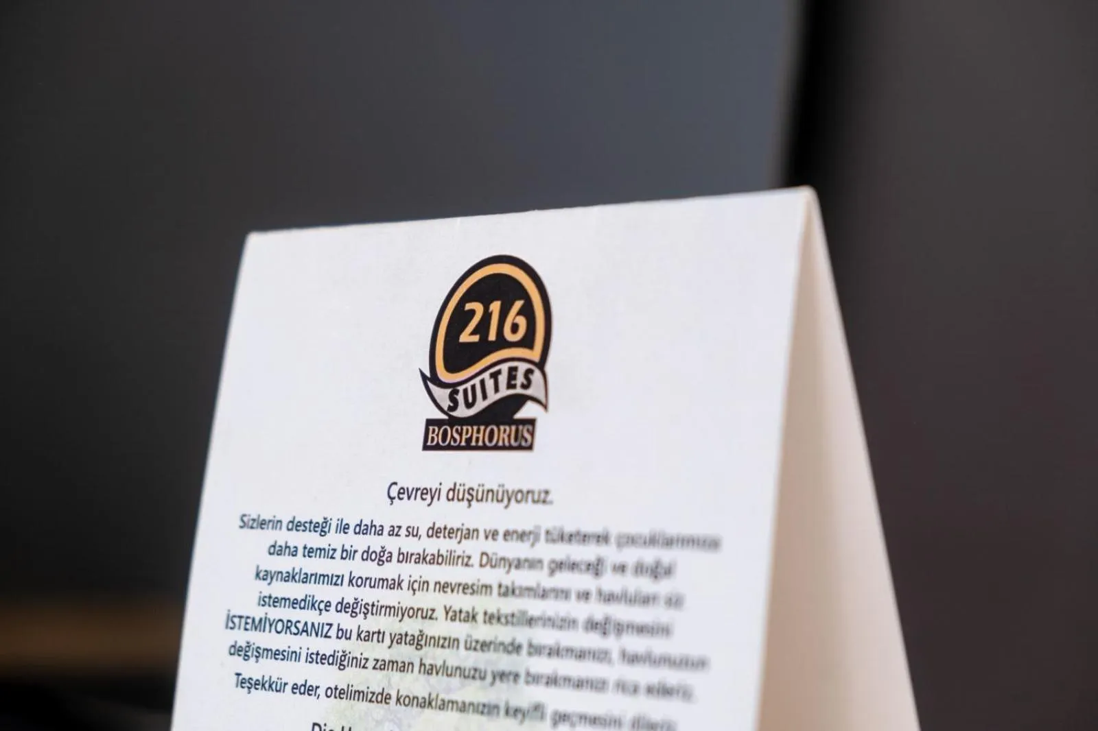 Seating area in 216 Bosphorus