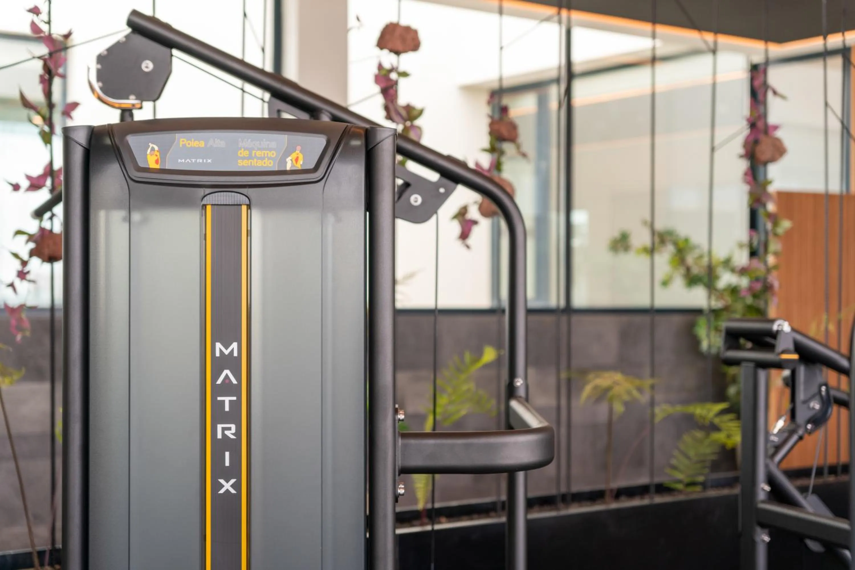 Fitness centre/facilities in Barceló Playa Blanca