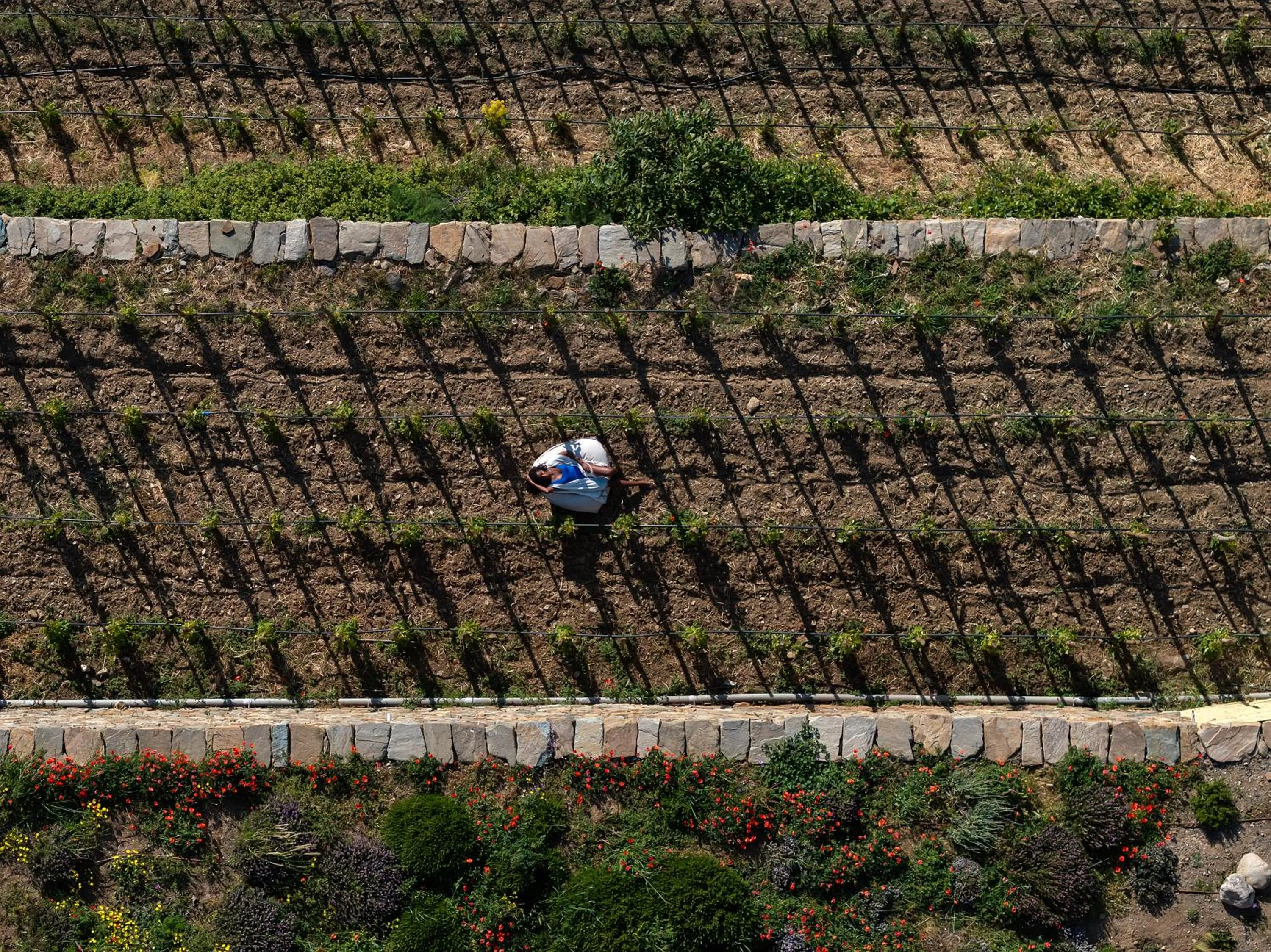 Natural landscape in Ivy's Natural Resort