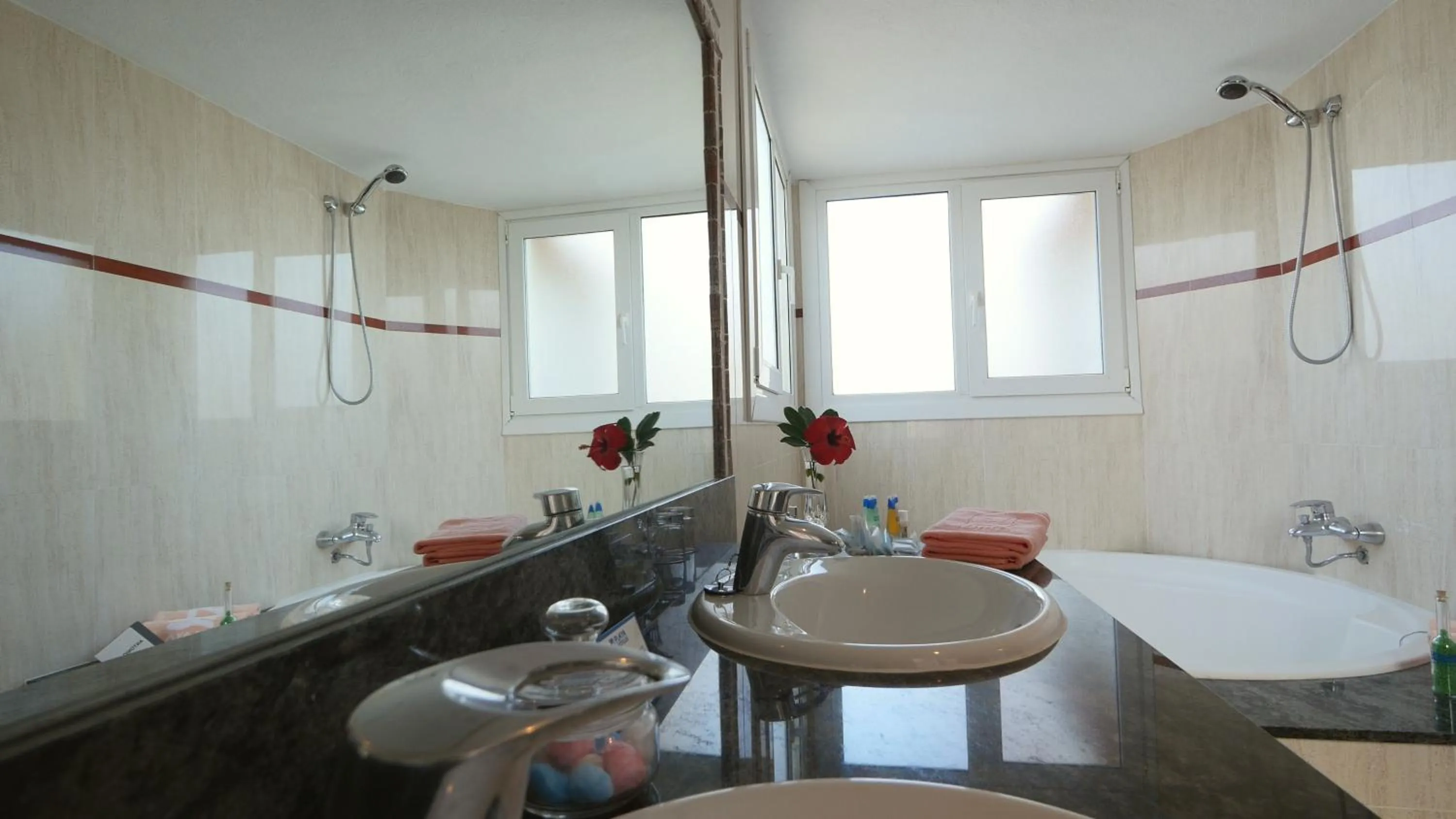 Toilet in Playacapricho