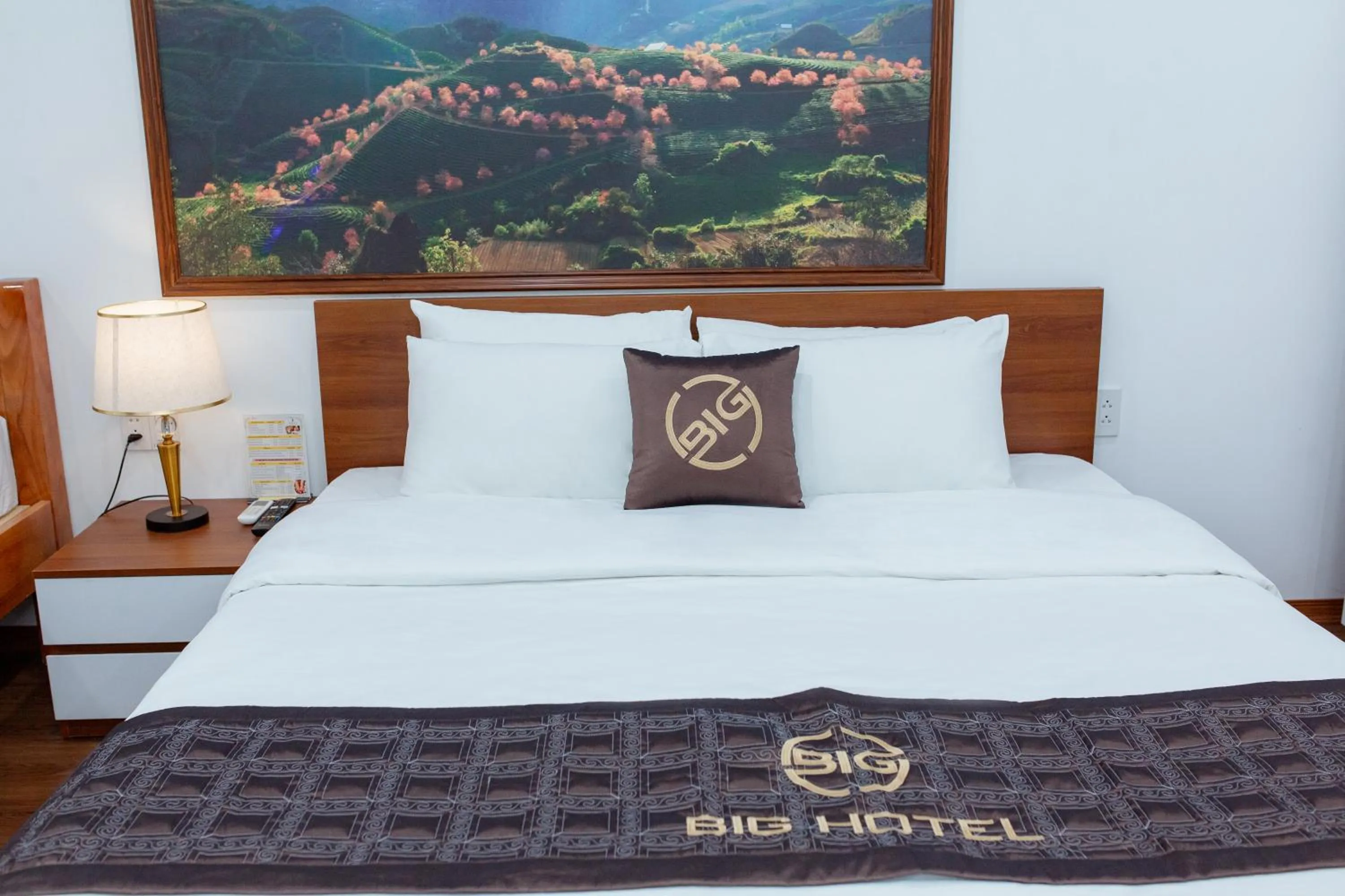 Bed in Big Hotel Lào Cai