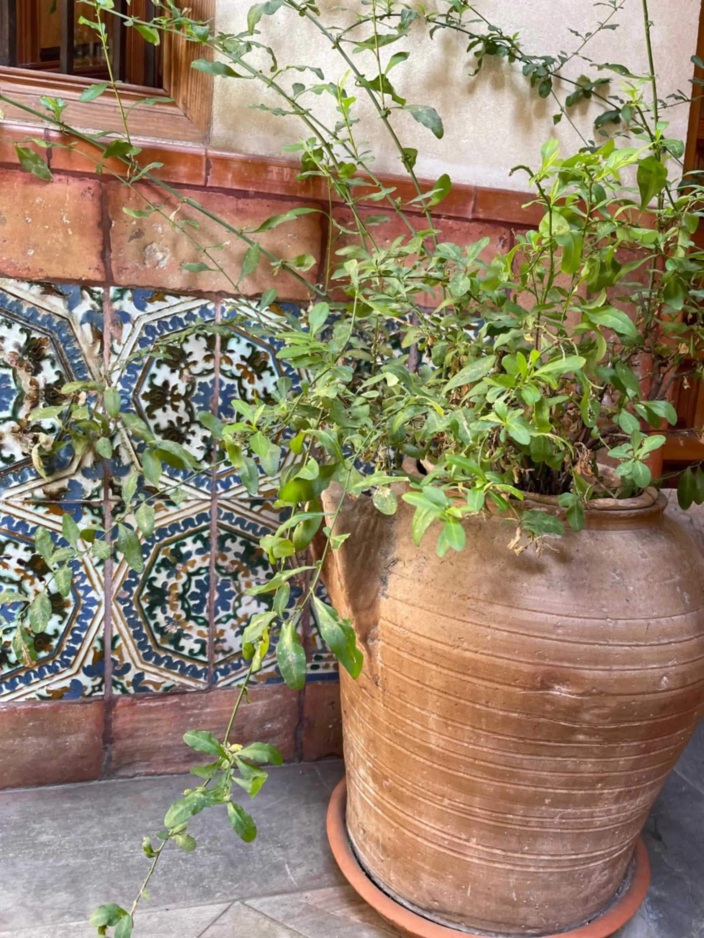 Patio in Hotel Santa Isabel La Real