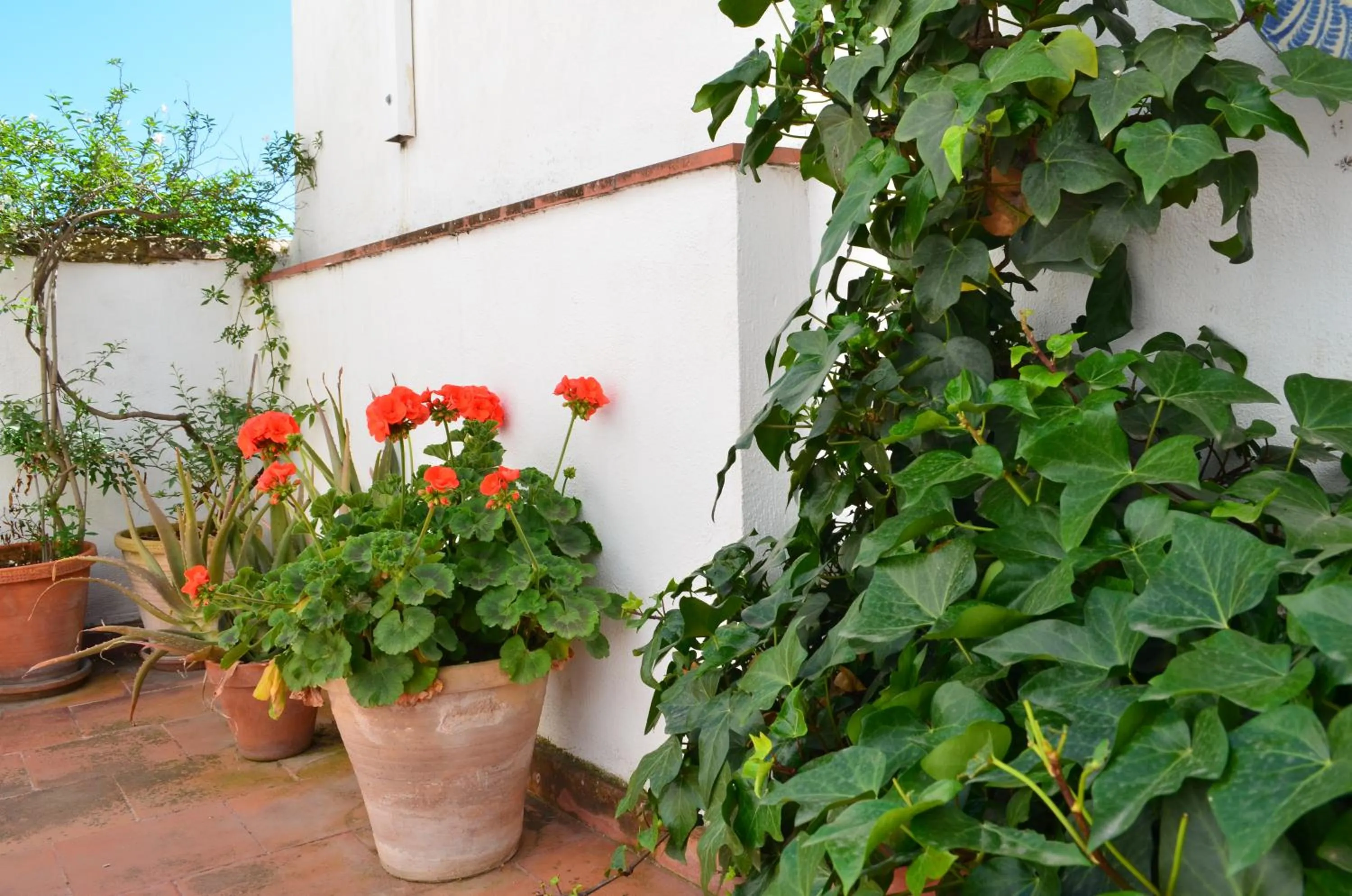 Balcony/Terrace in Hotel Santa Isabel La Real