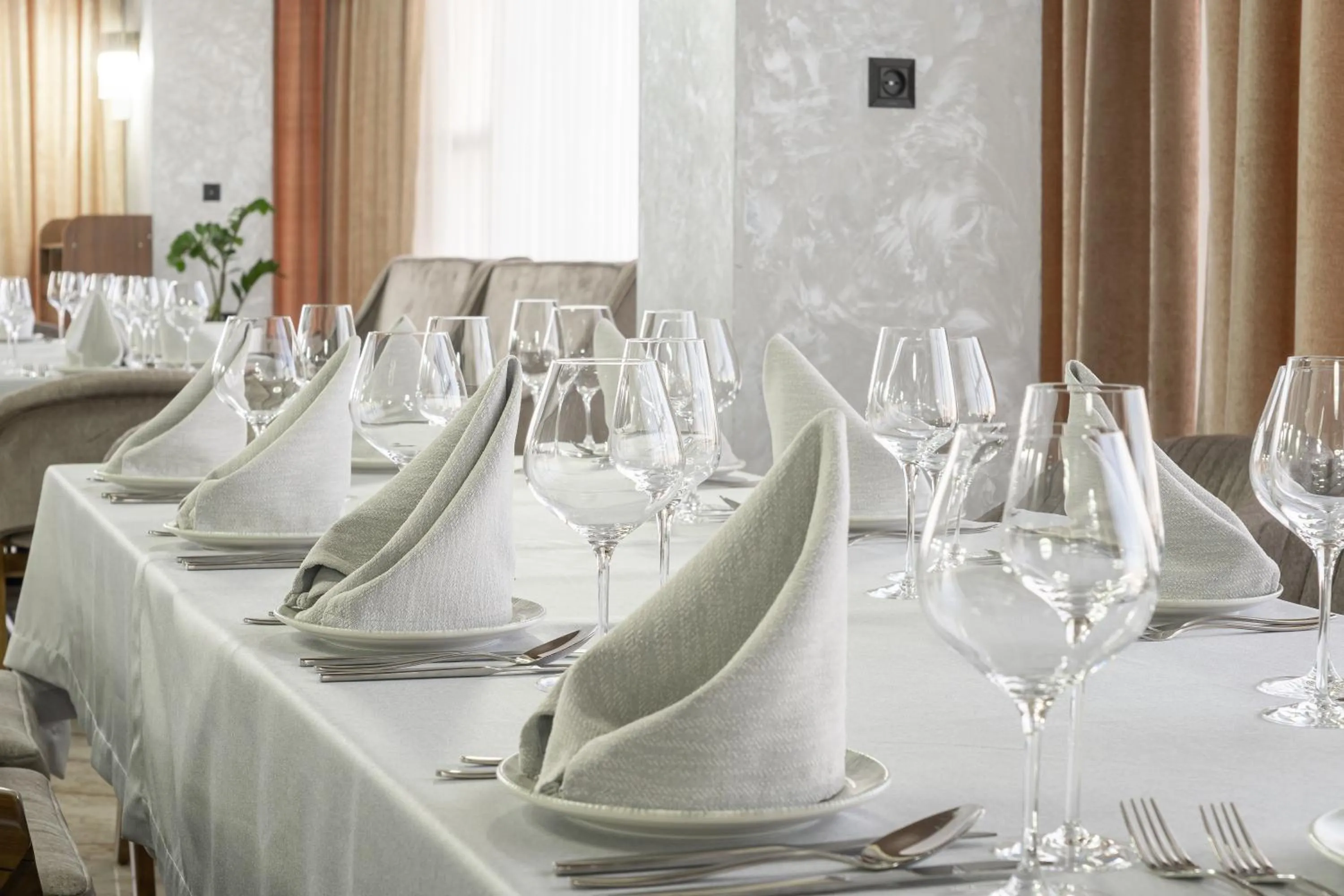 Banquet/Function facilities in Mir Luxe Plaza