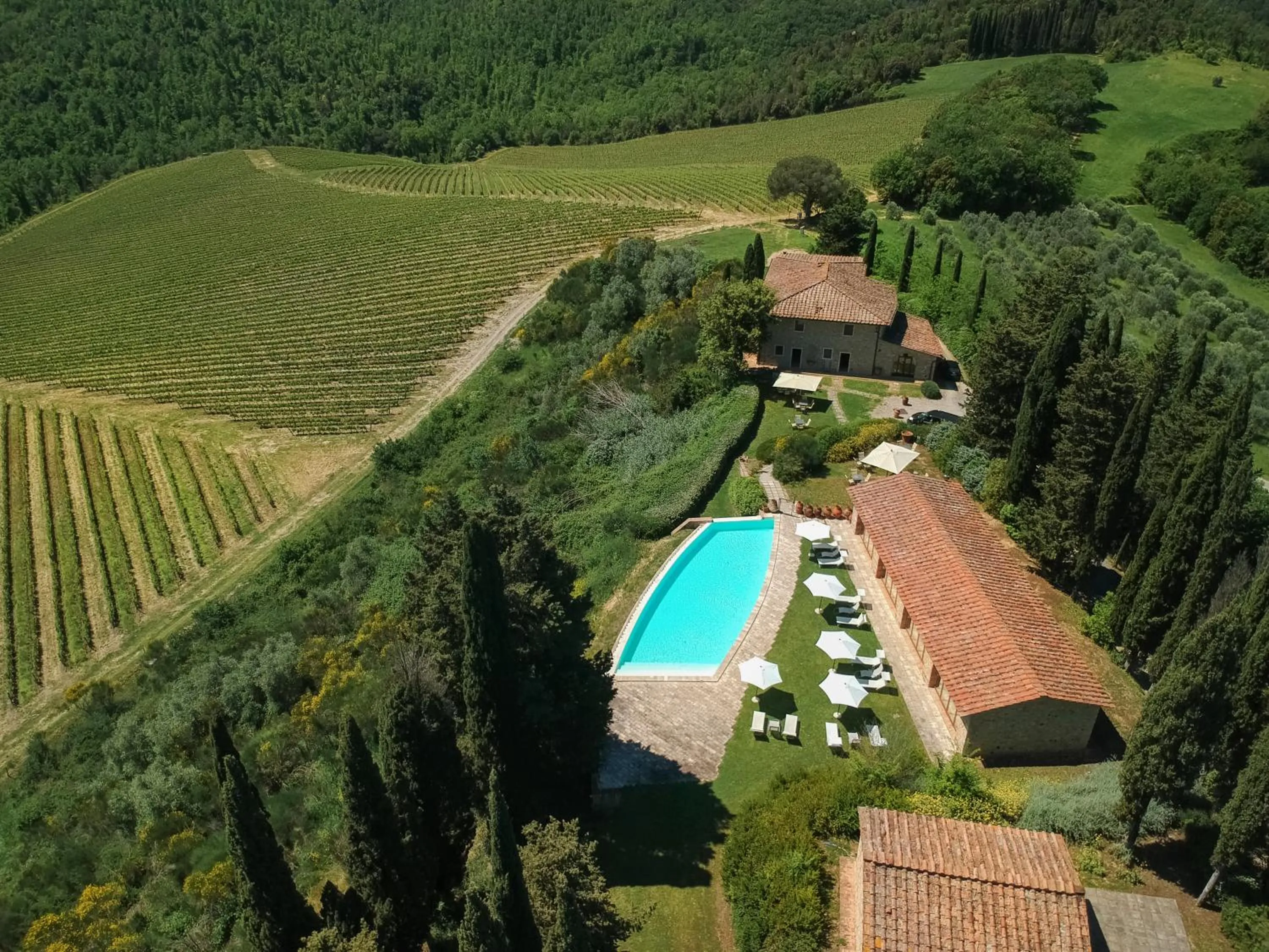 Swimming pool in Santo Pietro Resort