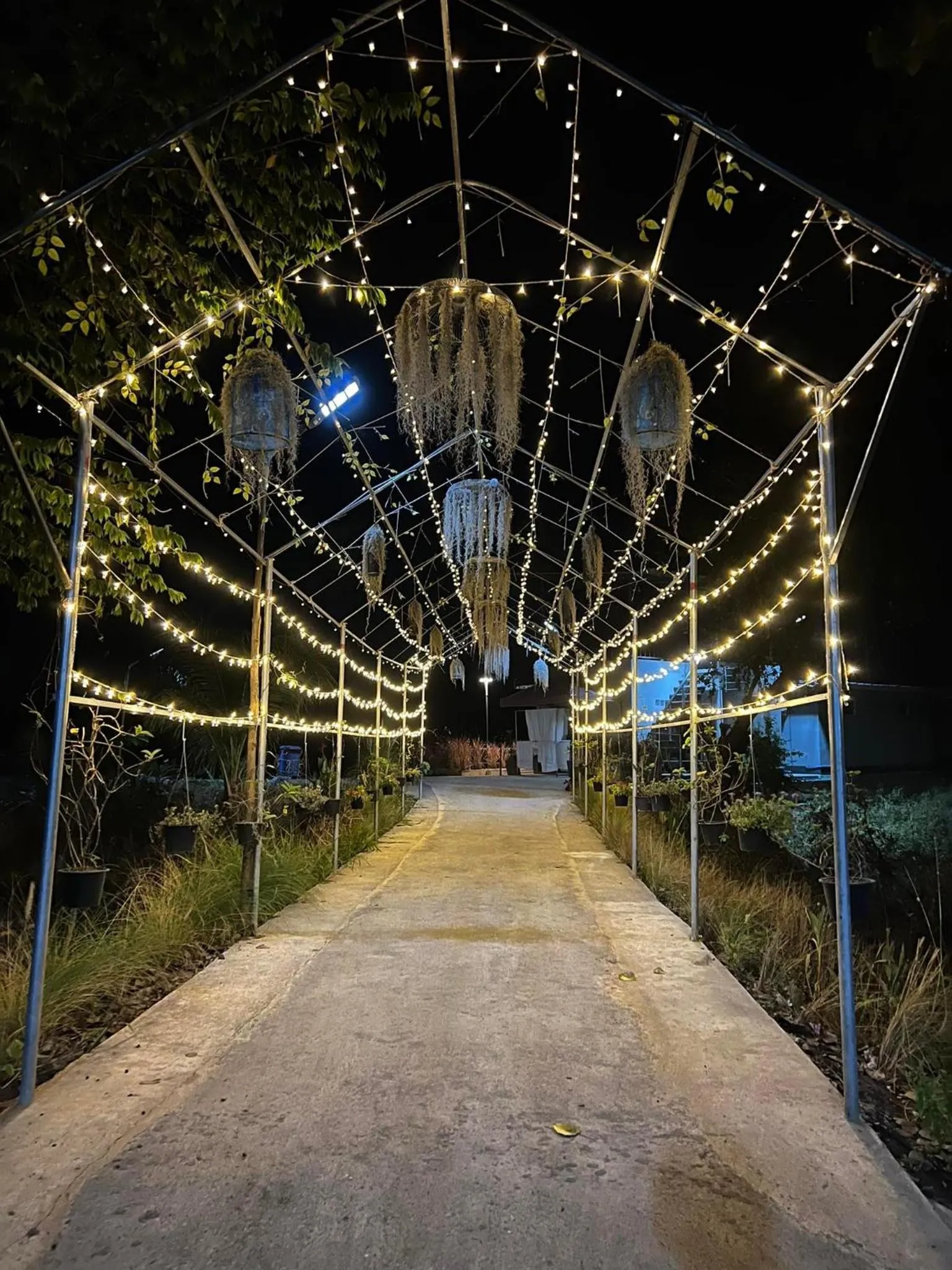 Night in C-Code Resort