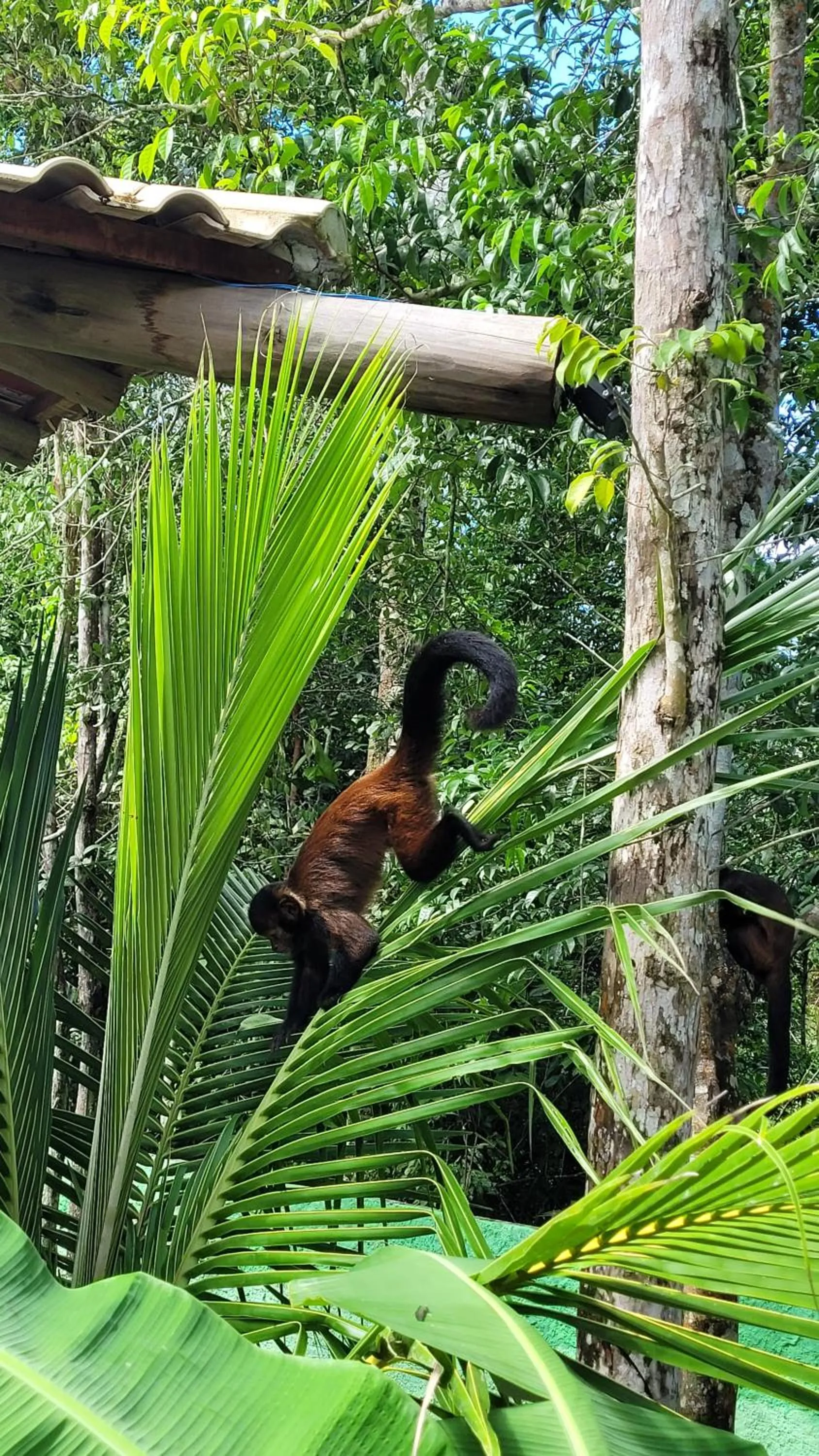 Day in Villa Mediterrâneo Trancoso