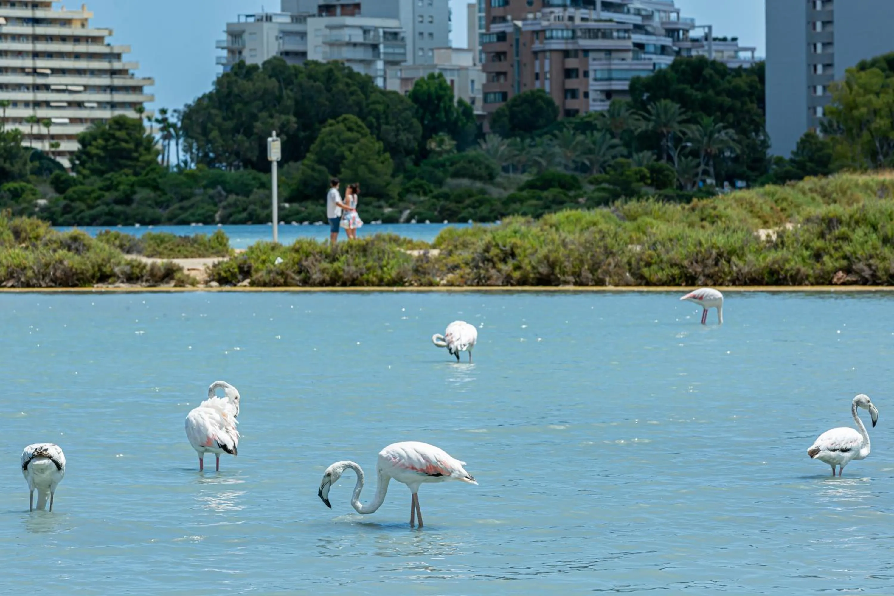 Nearby landmark in AR Roca Esmeralda & SPA Hotel