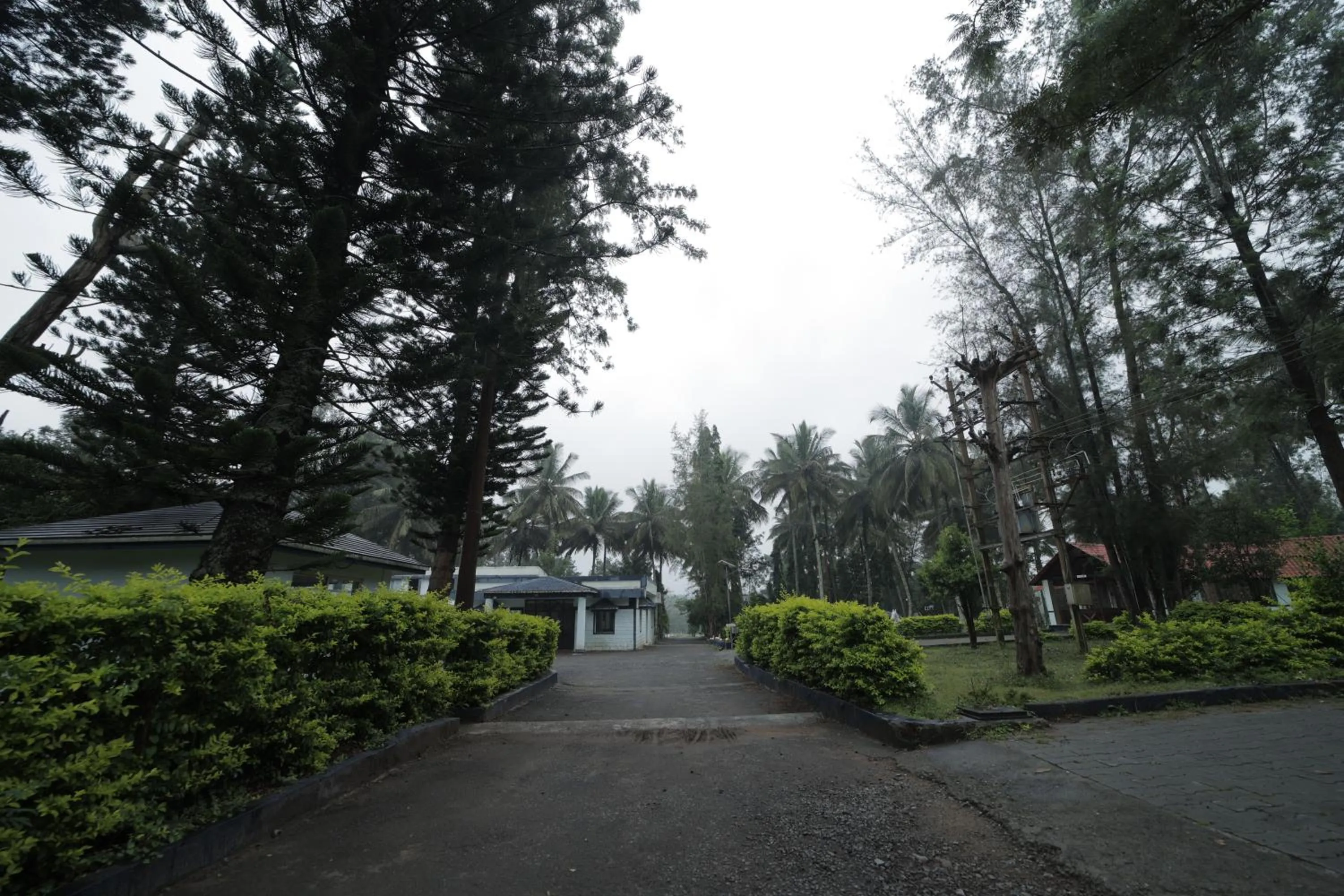 Garden view in Green Park Resort