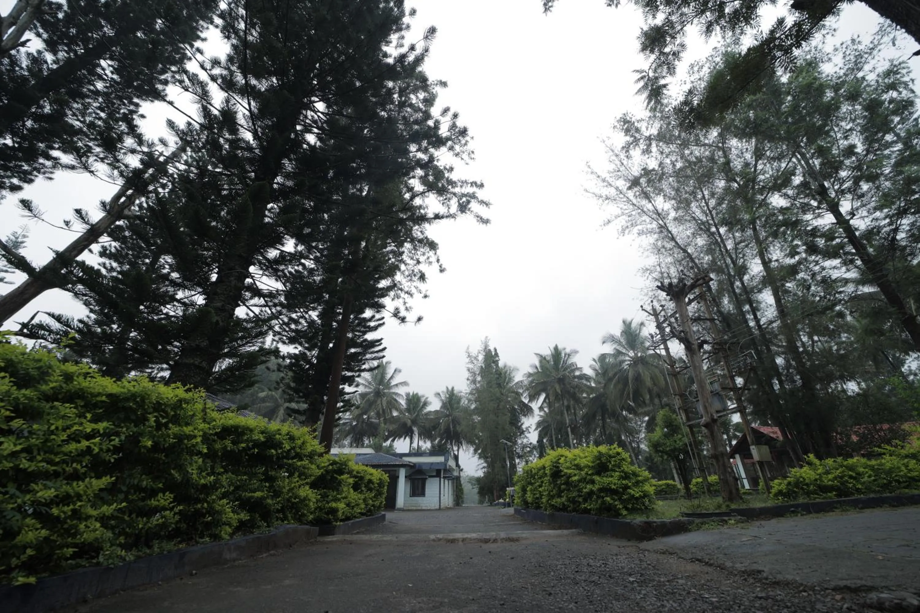 Natural landscape in Green Park Resort
