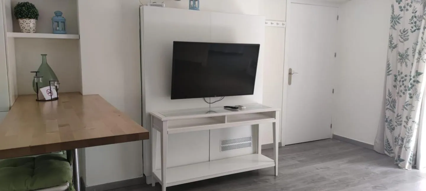 TV and multimedia in MR Hotelet de la Raconà & Apartments