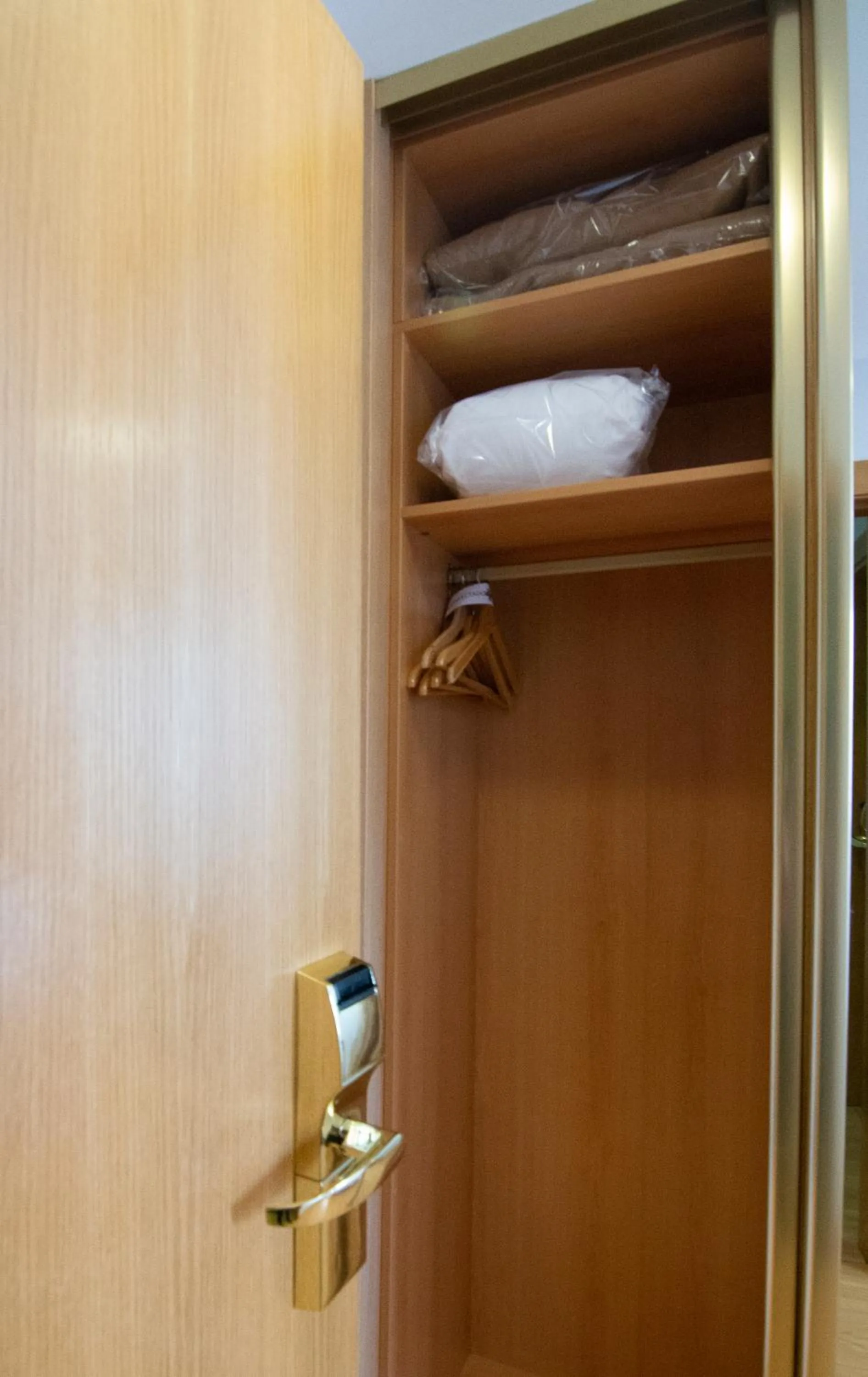 wardrobe in Hotel Hispania