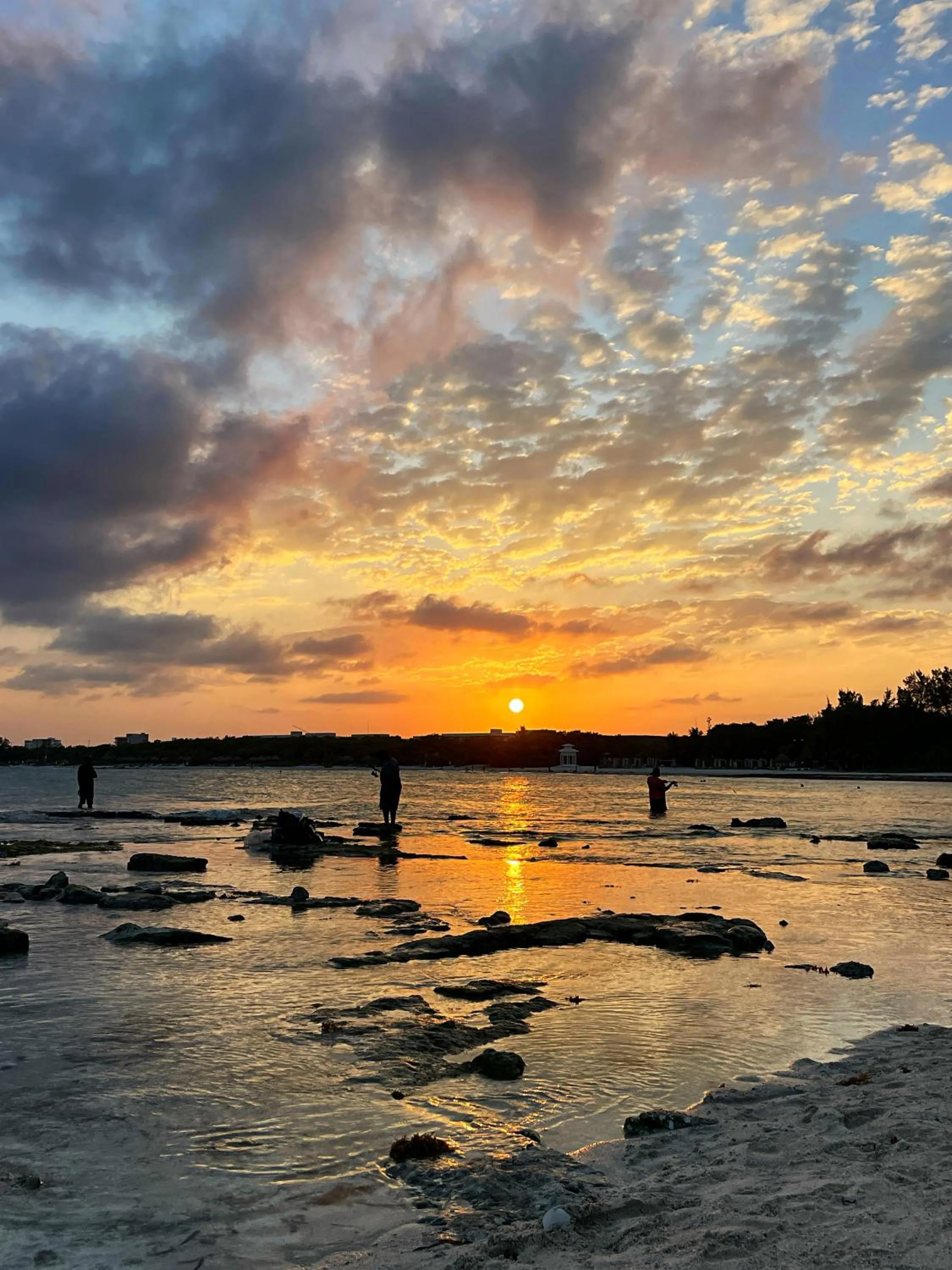 Beach in LOTE4 - LGBTQ Studios