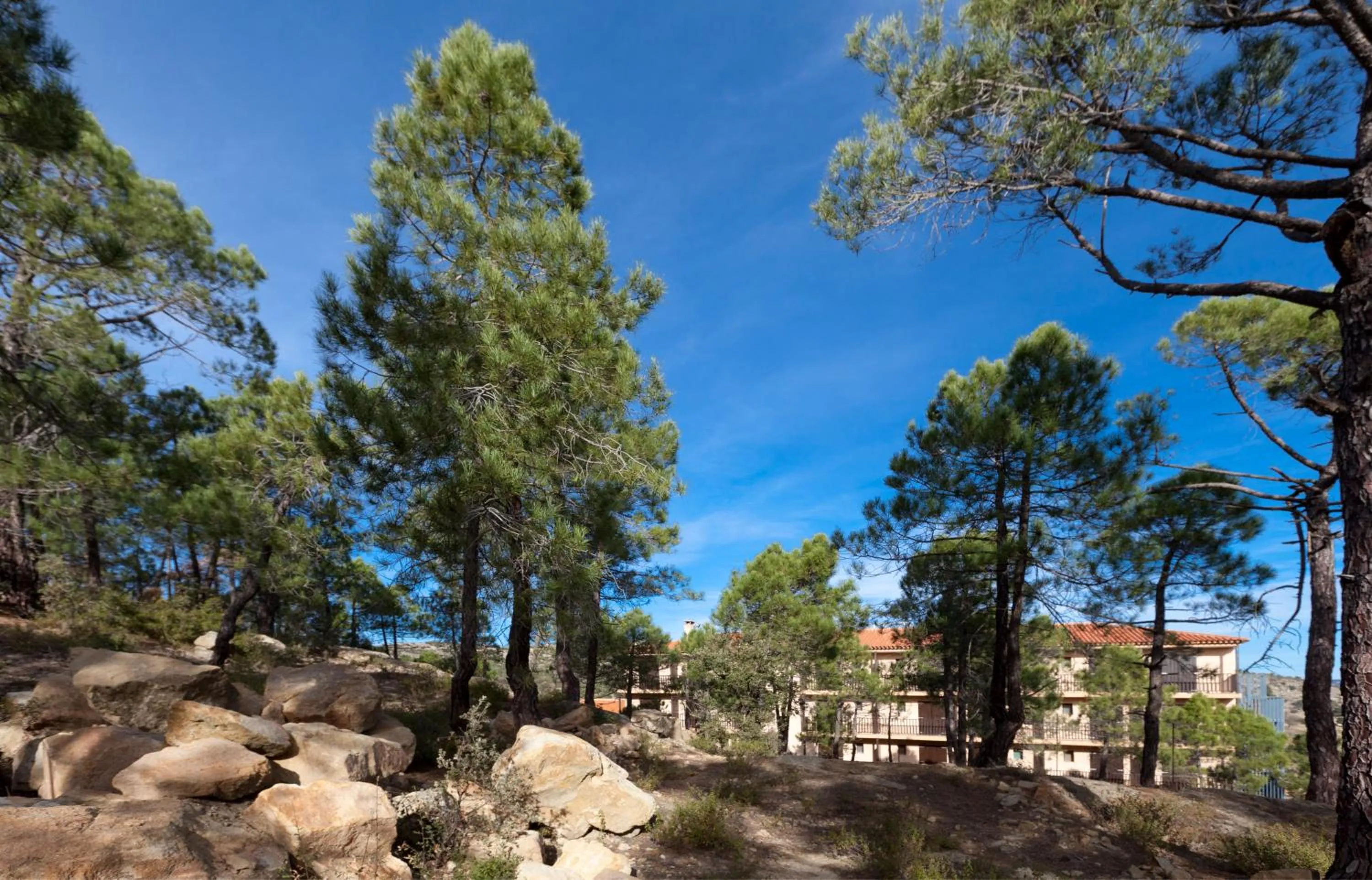 Property building in Hotel Mora