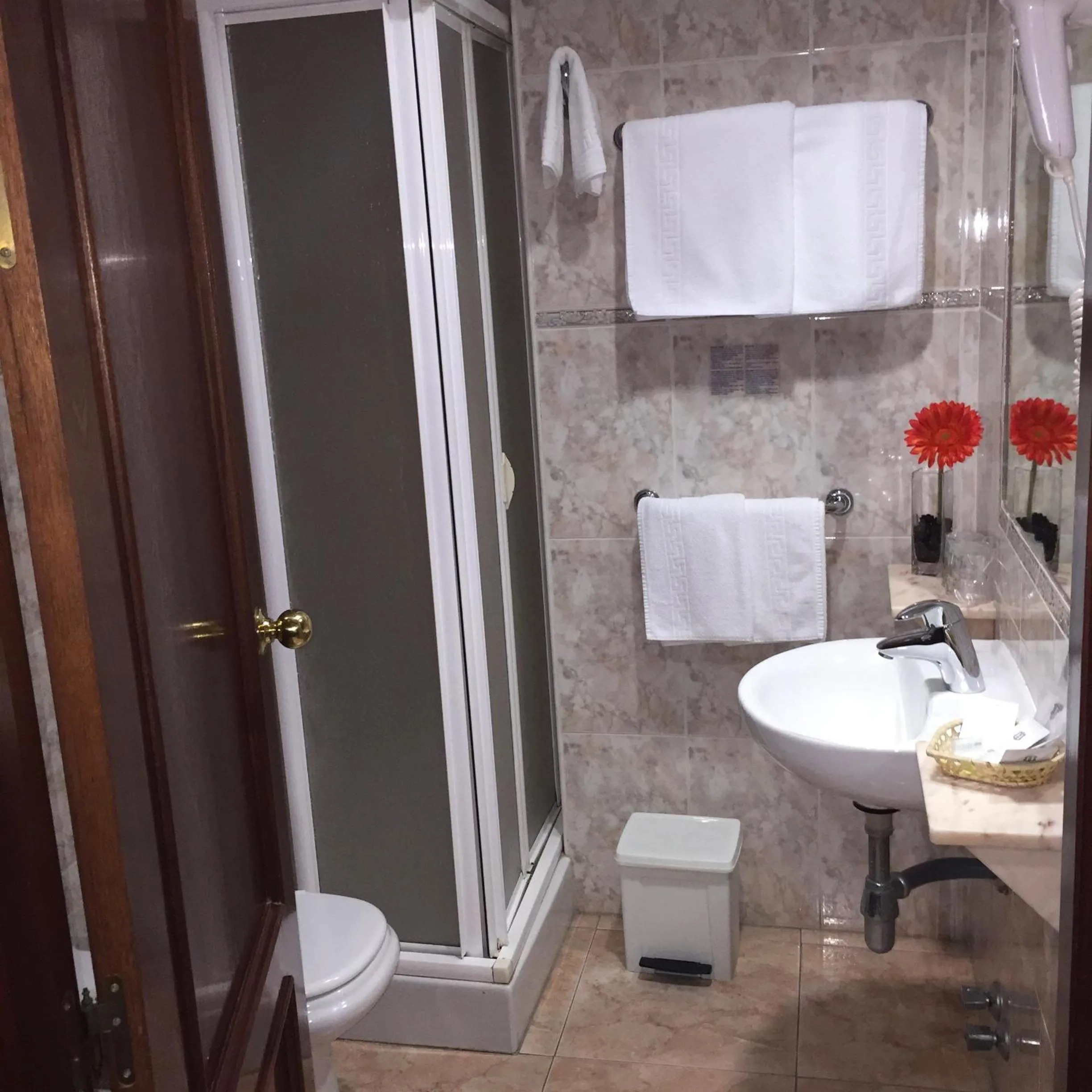 Shower in Hotel Martin