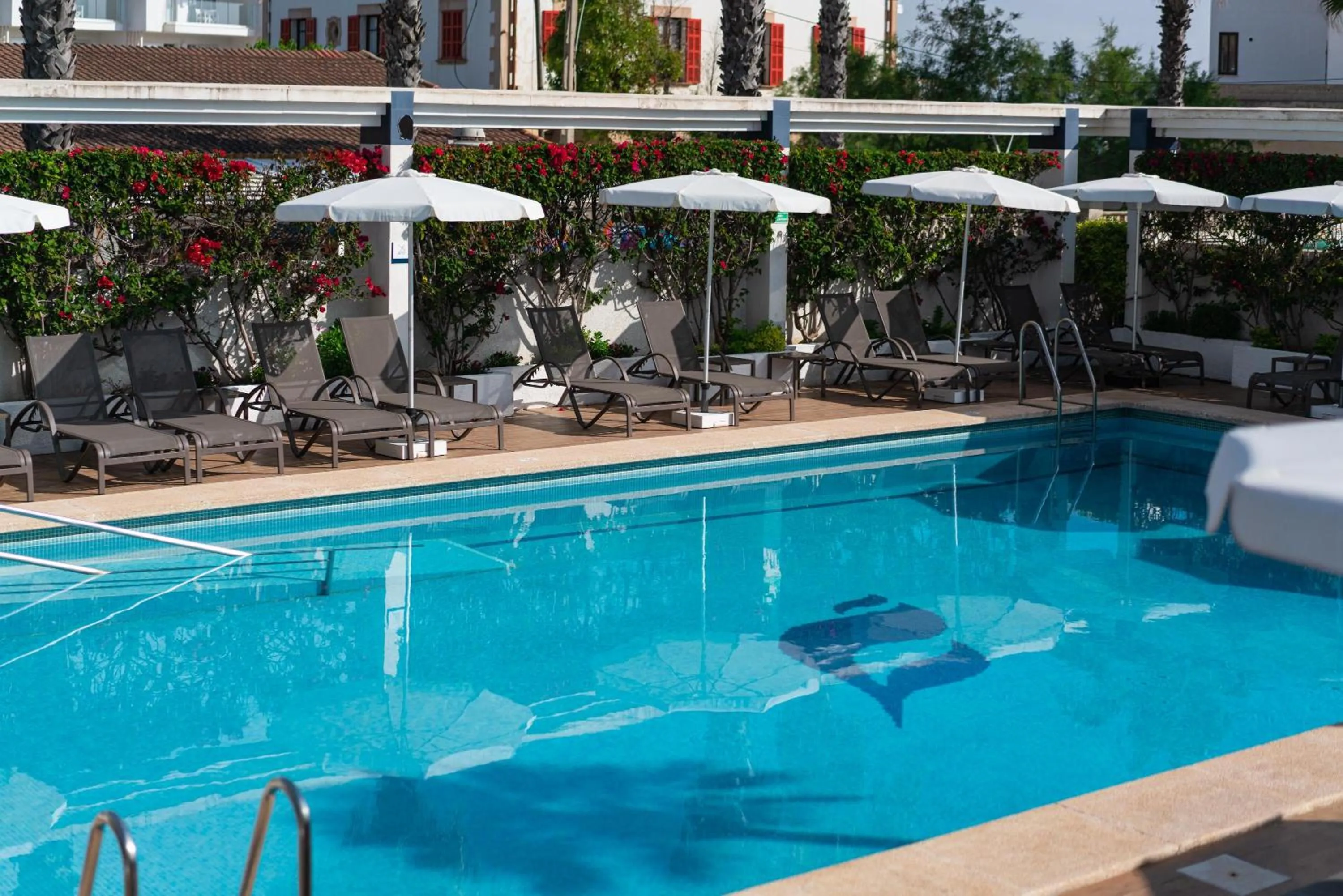 Swimming pool in THB Gran Playa - Adults Only