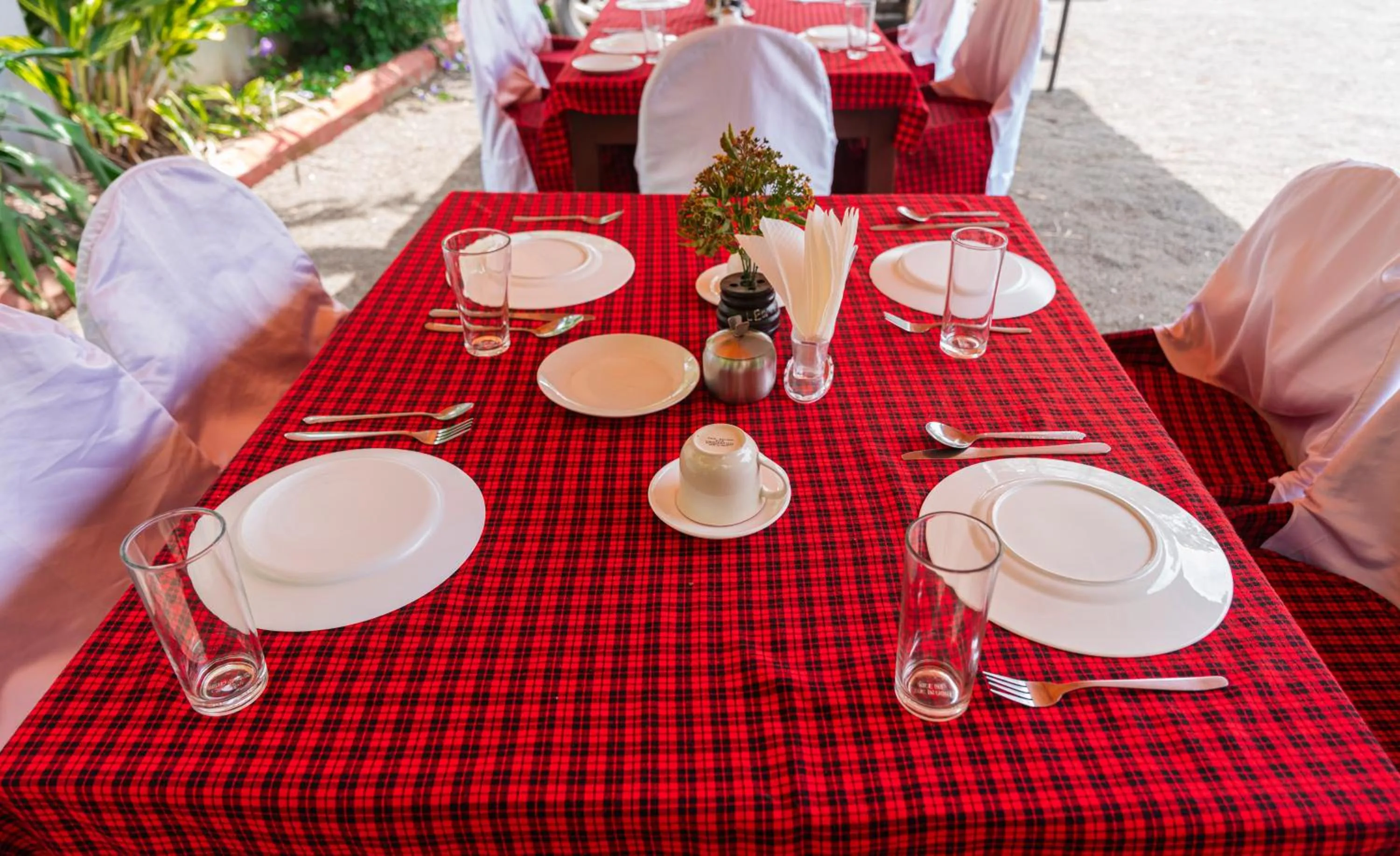 Restaurant/places to eat in Safari Park House