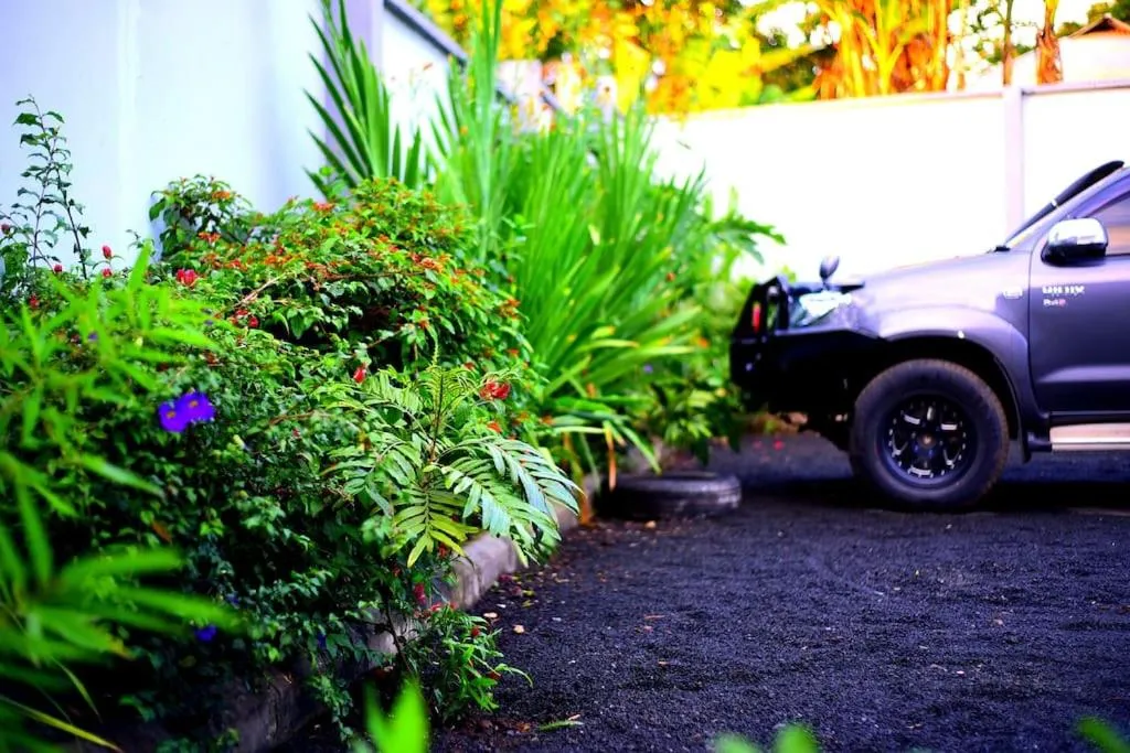 Garden in Safari Park House