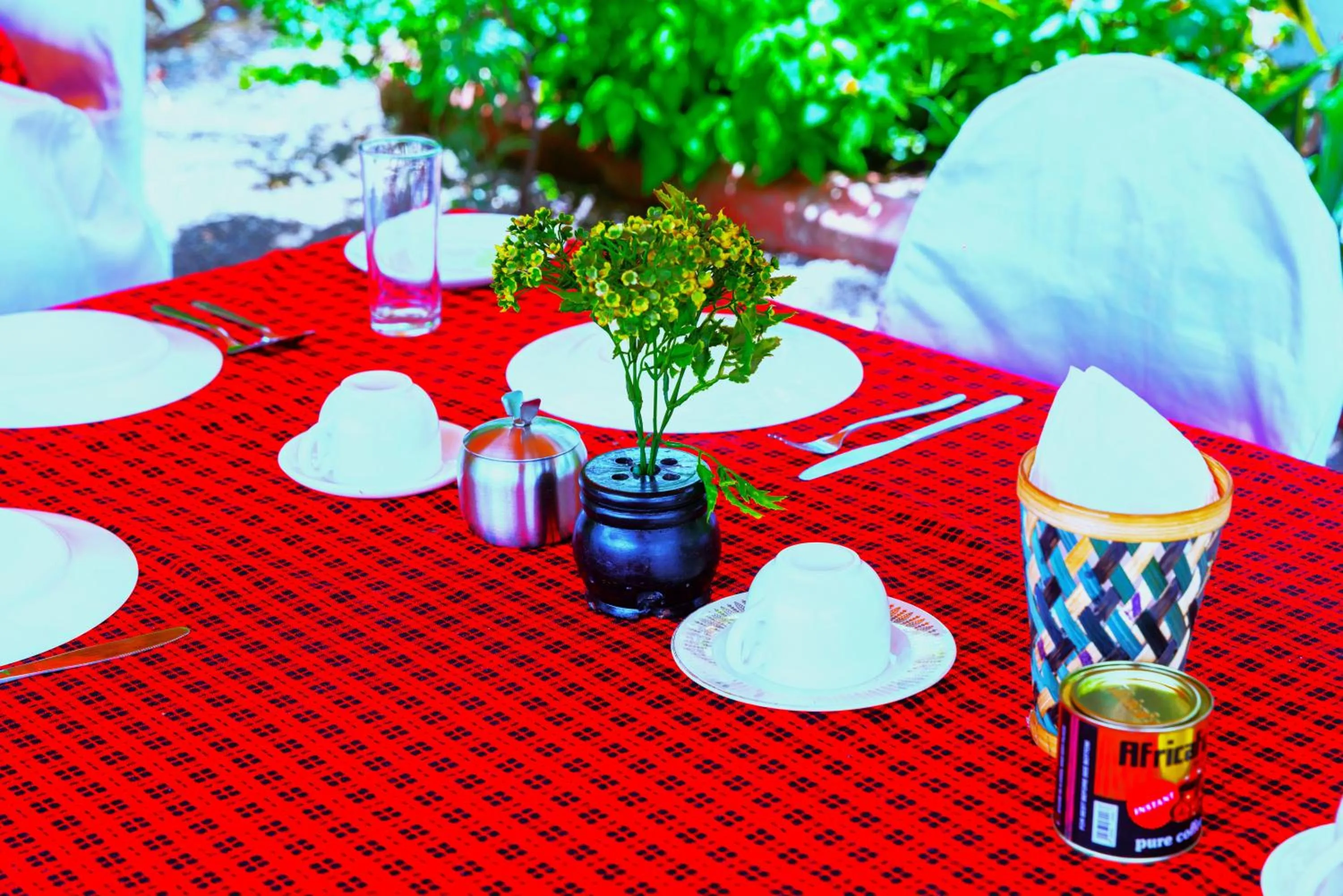 Restaurant/places to eat in Safari Park House