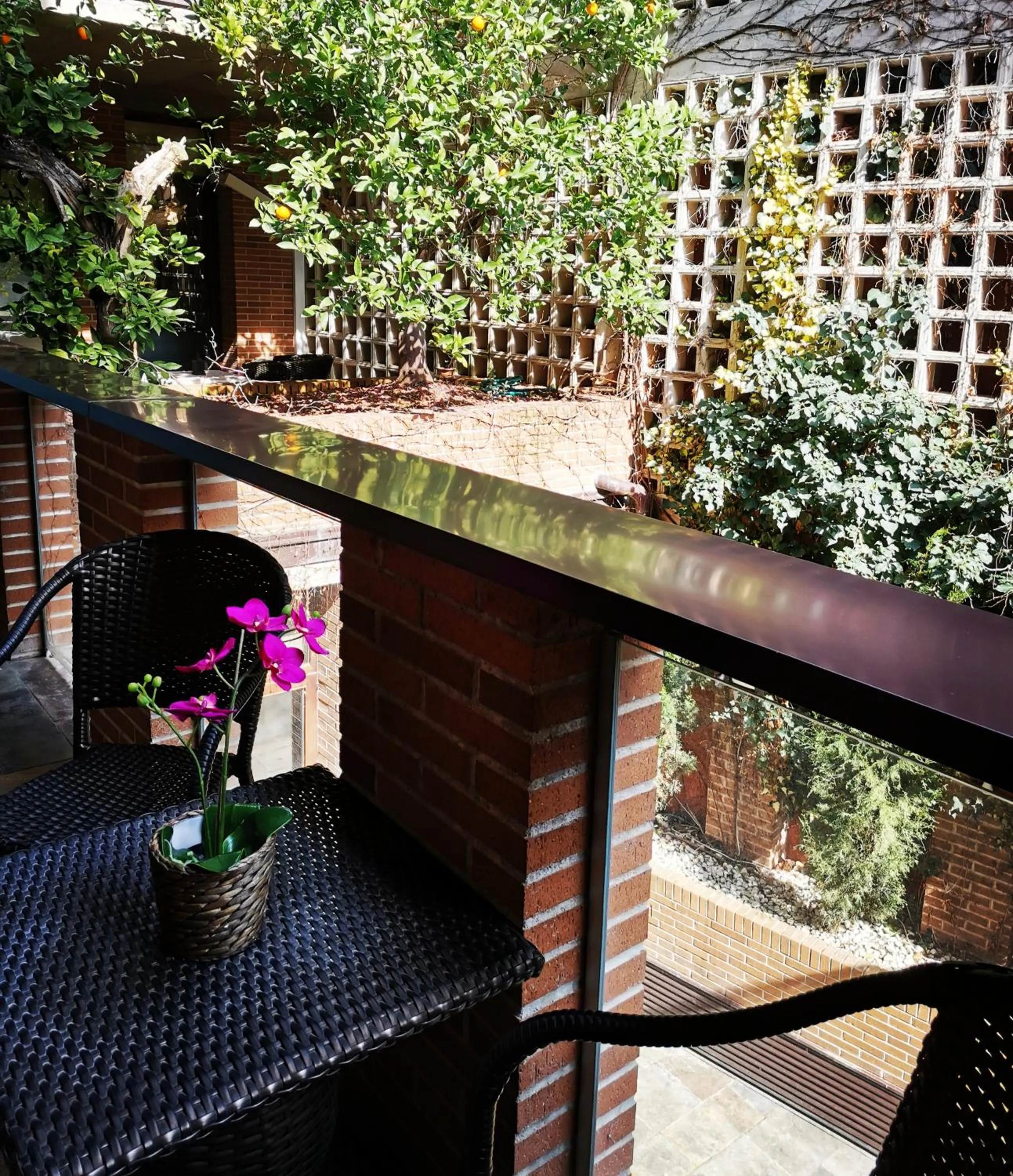 Balcony/Terrace in Hotel La Joyosa Guarda