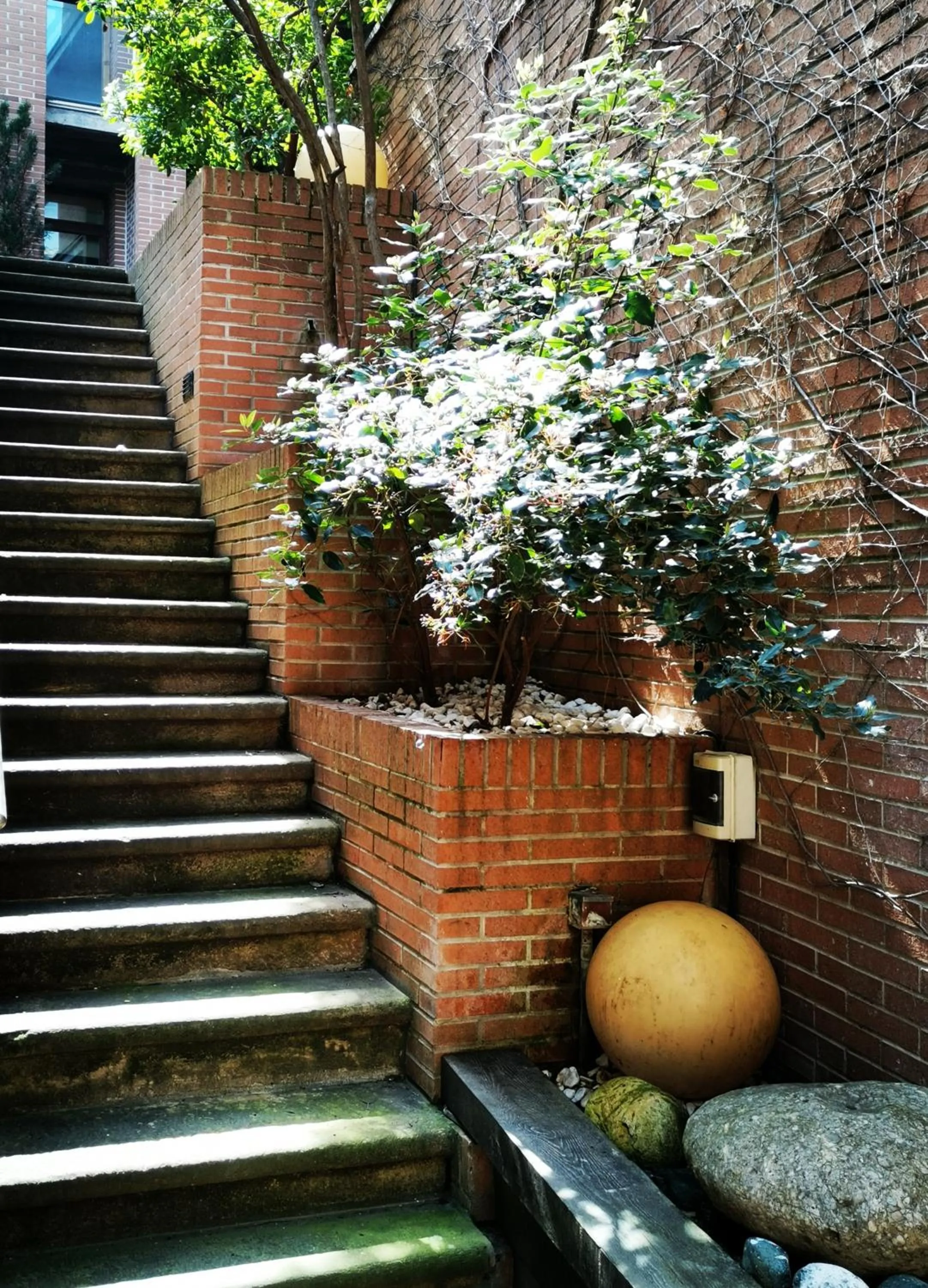 Property building in Hotel La Joyosa Guarda