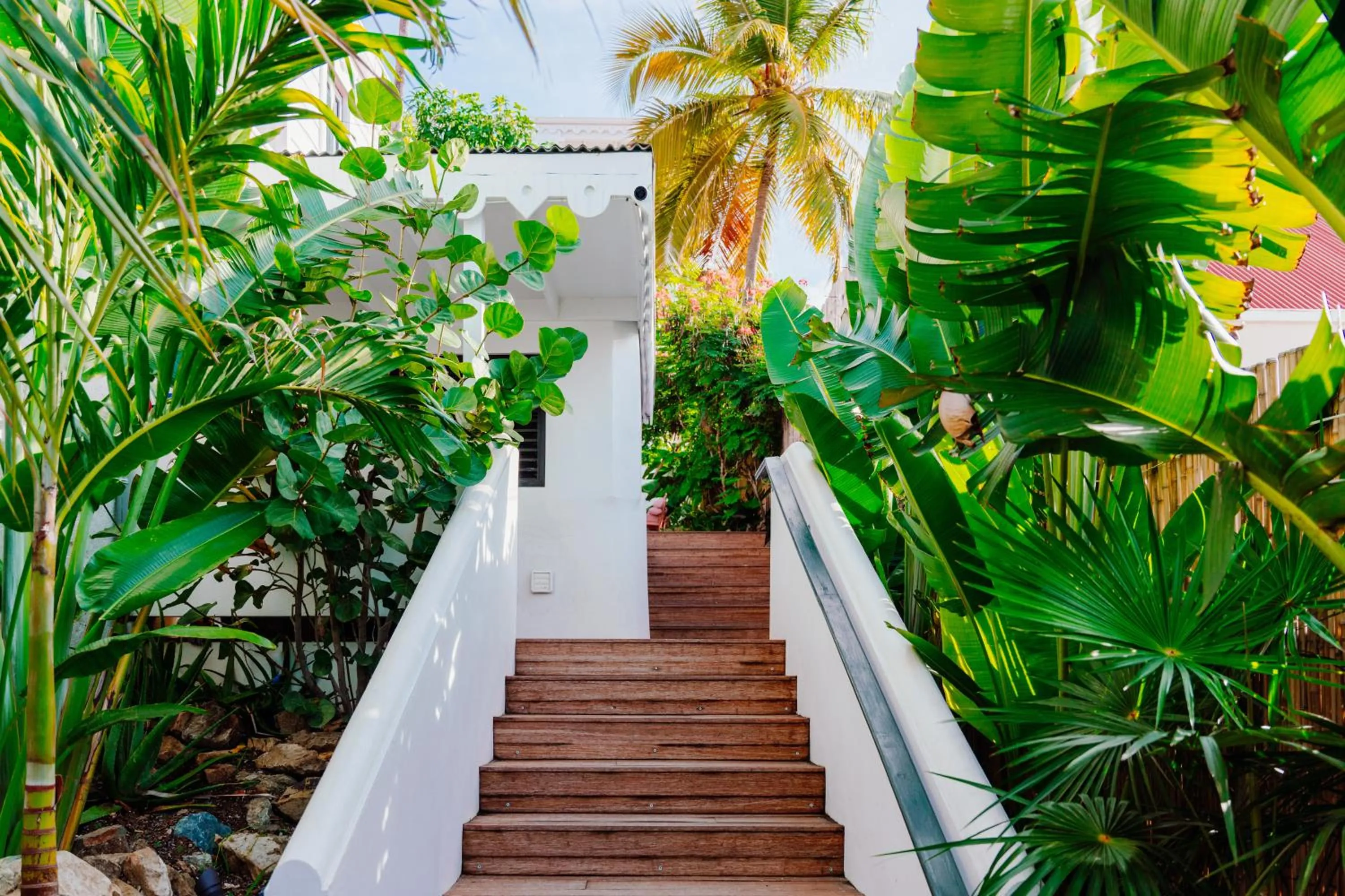 Day in The Pink Palm Hotel - Adults Only