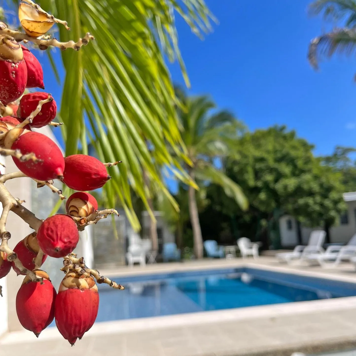 Pool view in Zaba Beach House