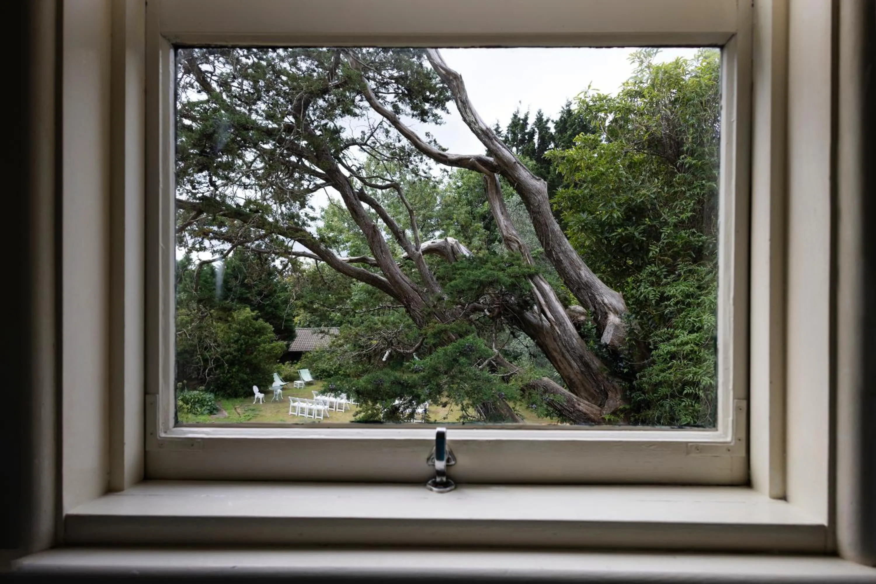 Garden view in Leura House