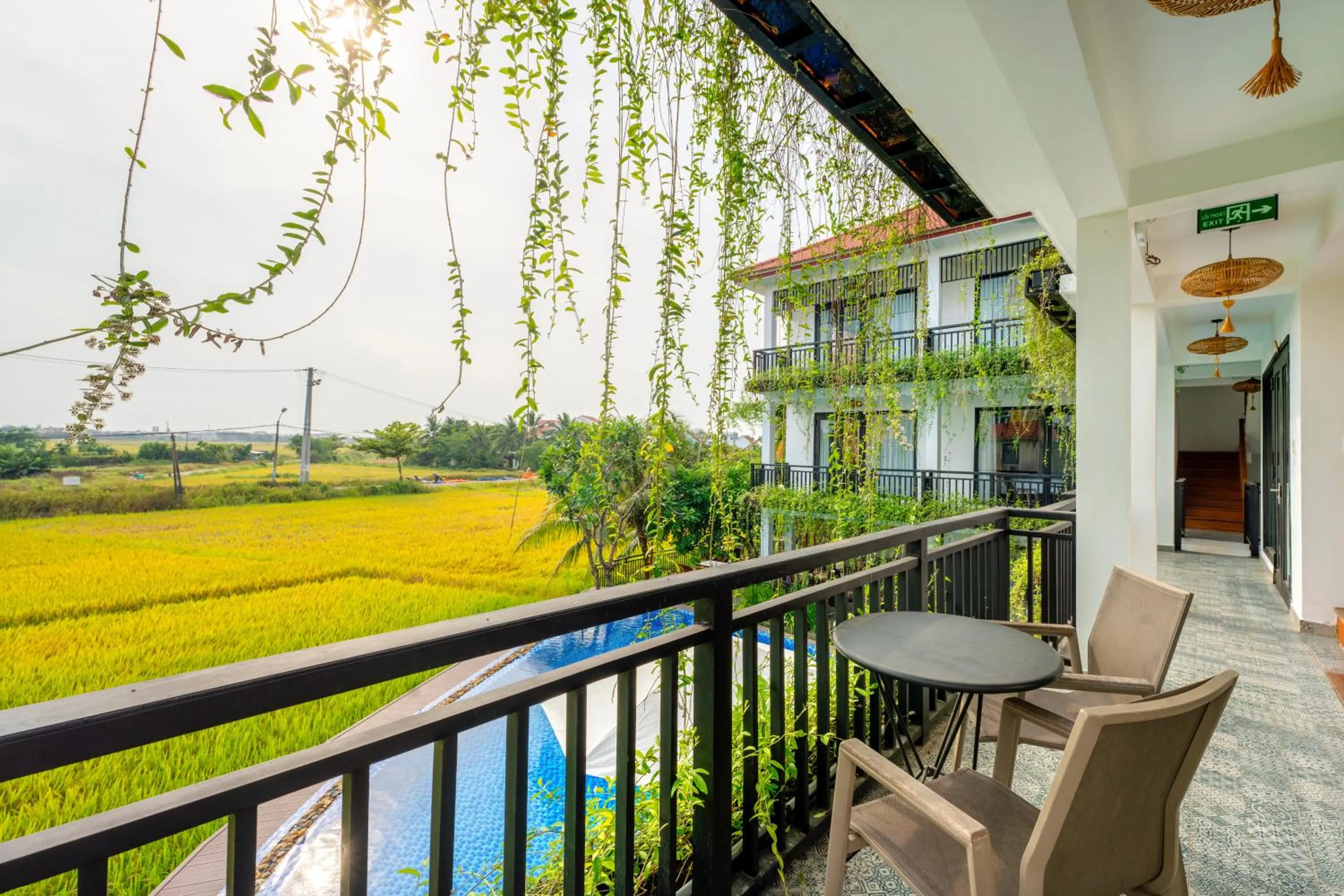 Property building in Sunkised Paddy Hoi An Villa