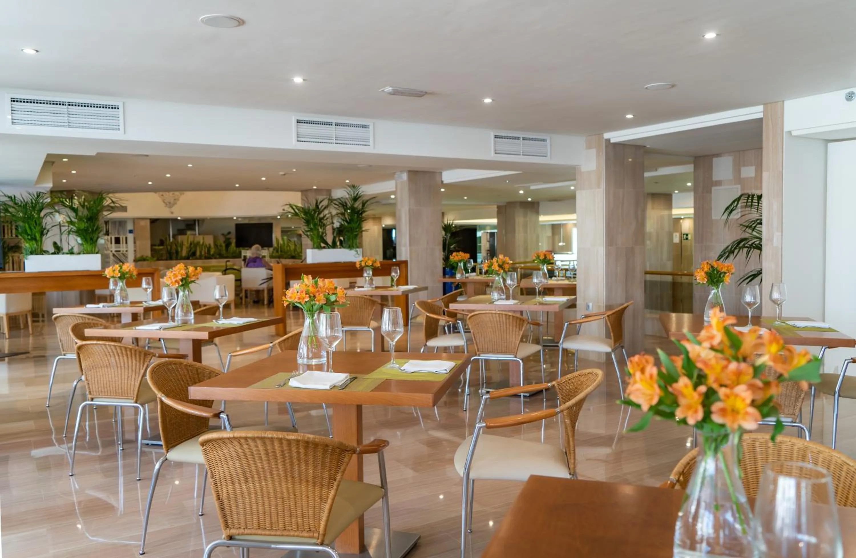 Restaurant/places to eat in MS Aguamarina Costa del Sol