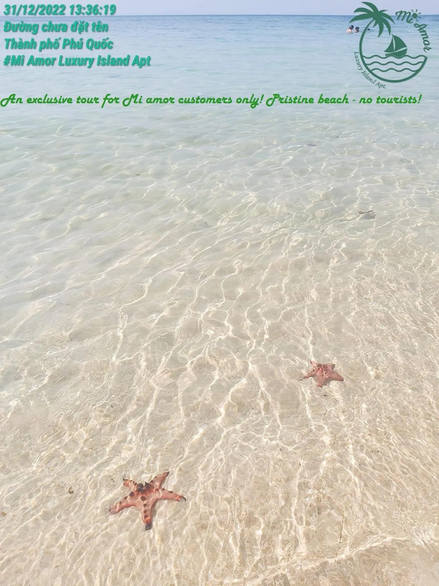 Day in Mi Amor Luxury Island Apartment - 3 minutes to the beach