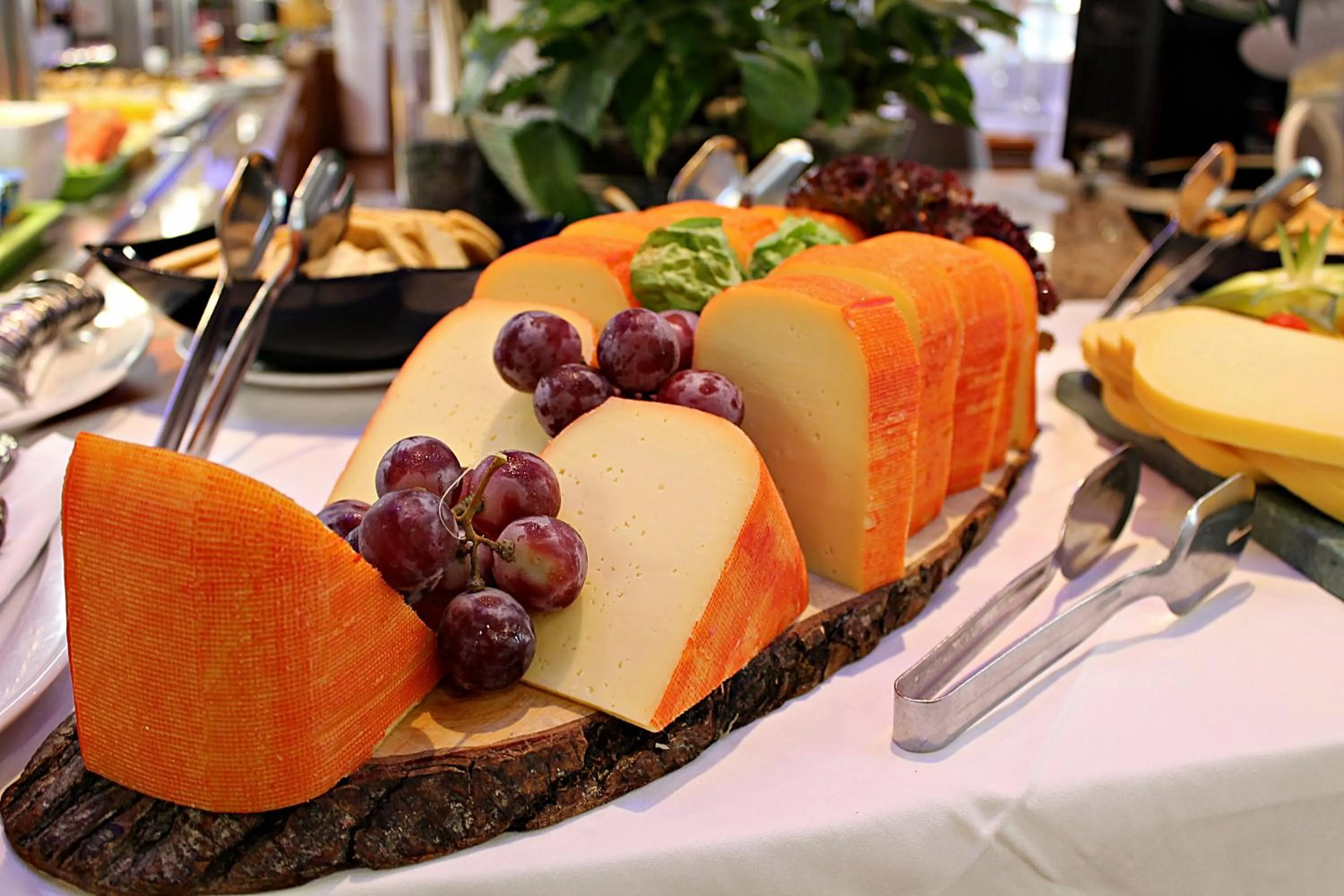 Food in Sagitario Princesa Playa