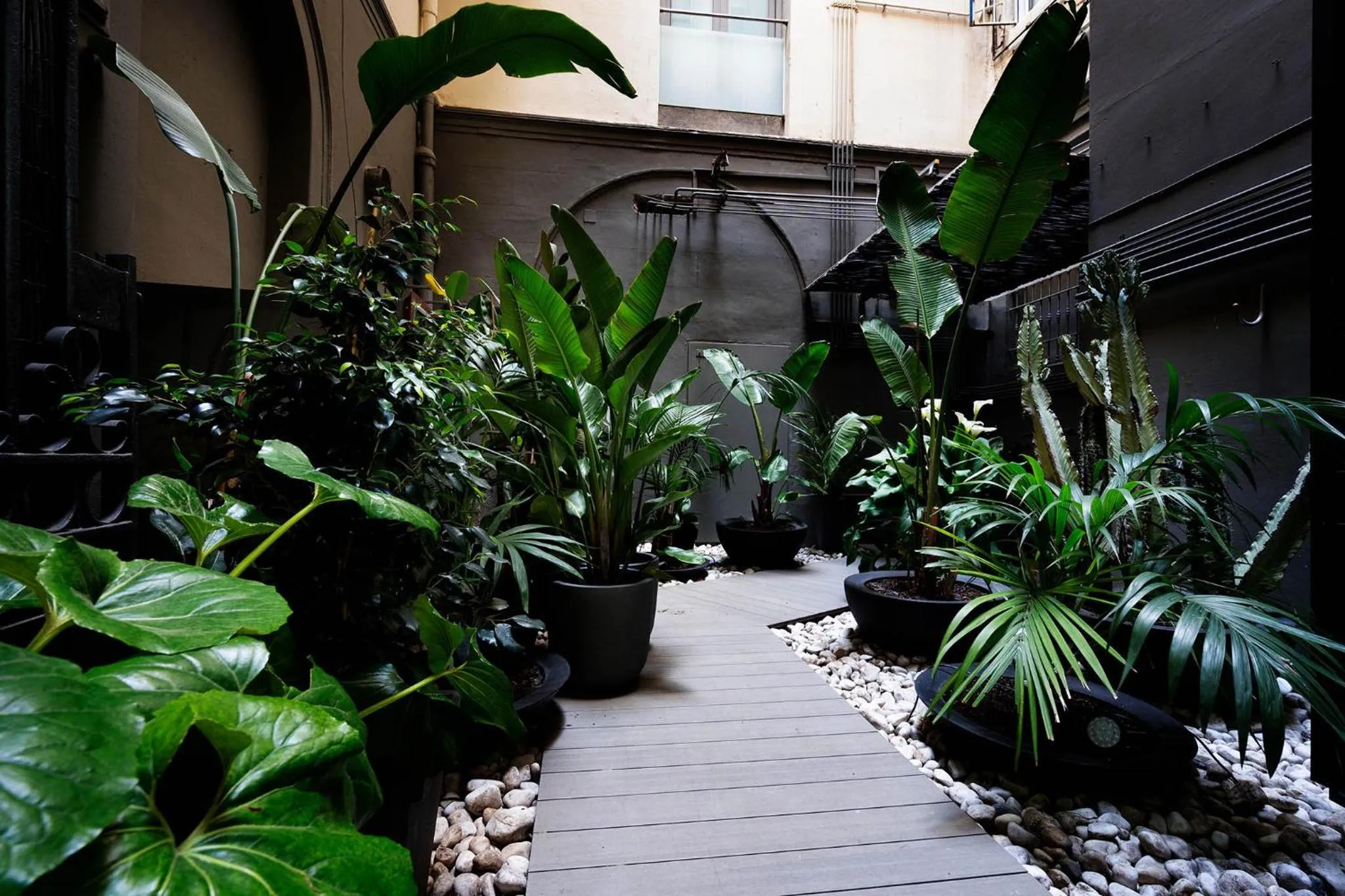 Garden in Chic & Basic Born Boutique Hotel