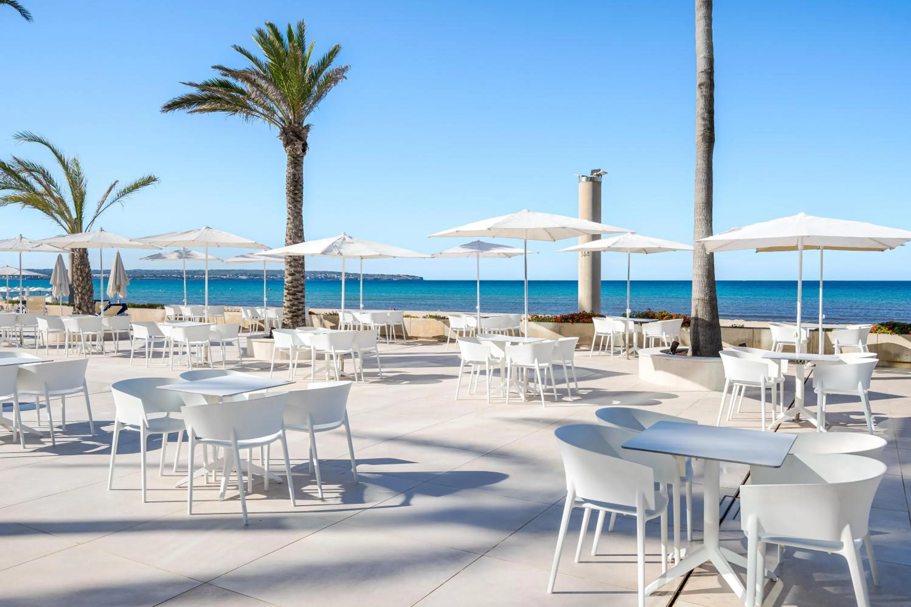 Lounge or bar in THB El Cid - Adults Only