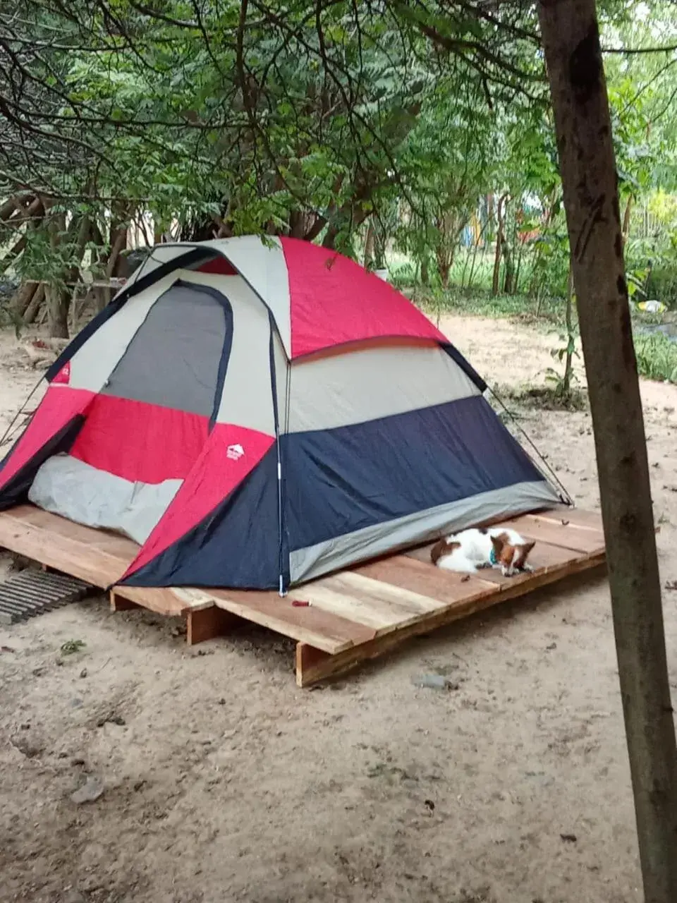 Double Room in Hotel flamencamarones Double Room in Hotel flamencamarones