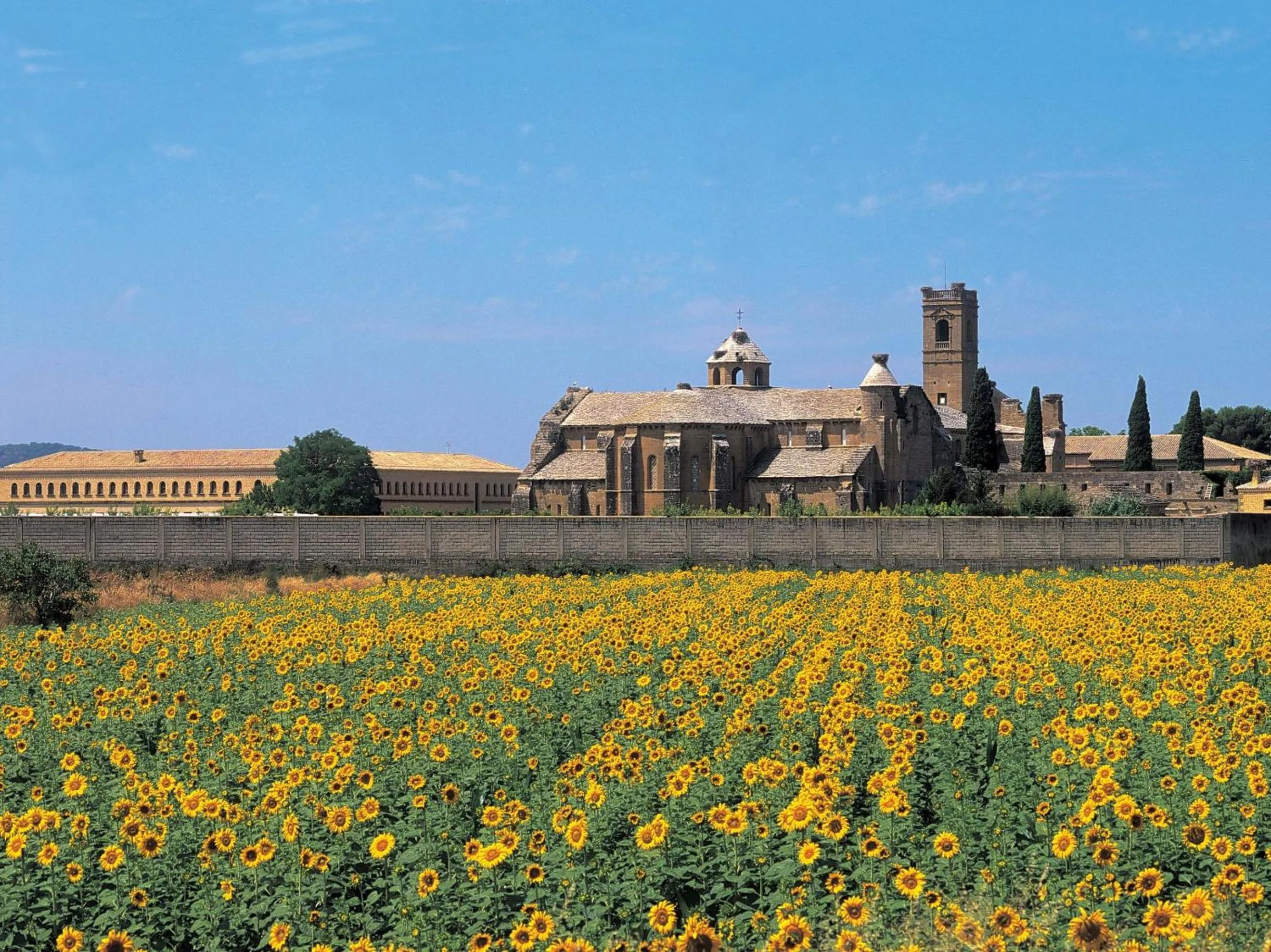 Area and facilities in Hospedería de Alesves
