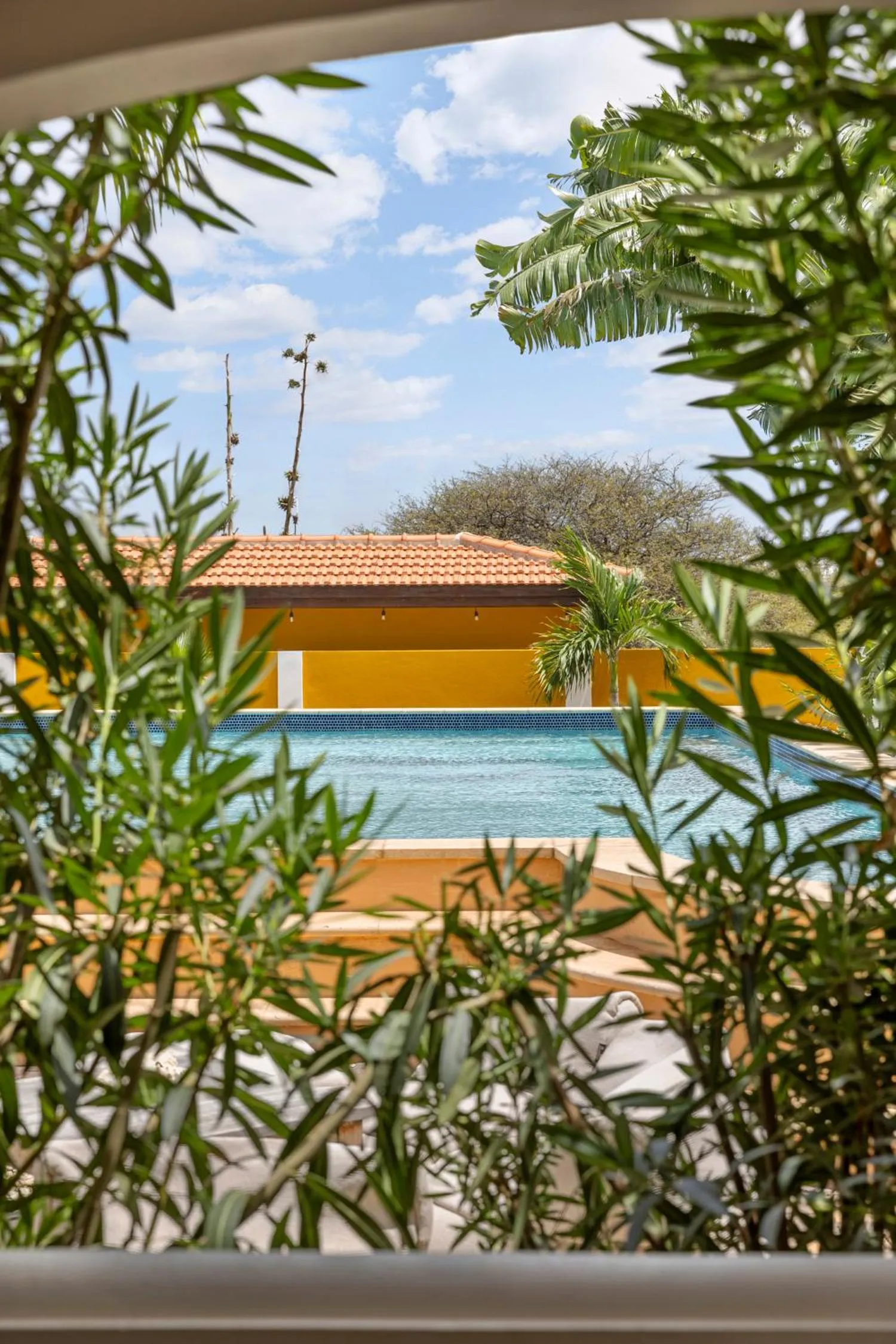 Garden in Boutique Hotel Wanapa - Adult Friendly - 14 years and older