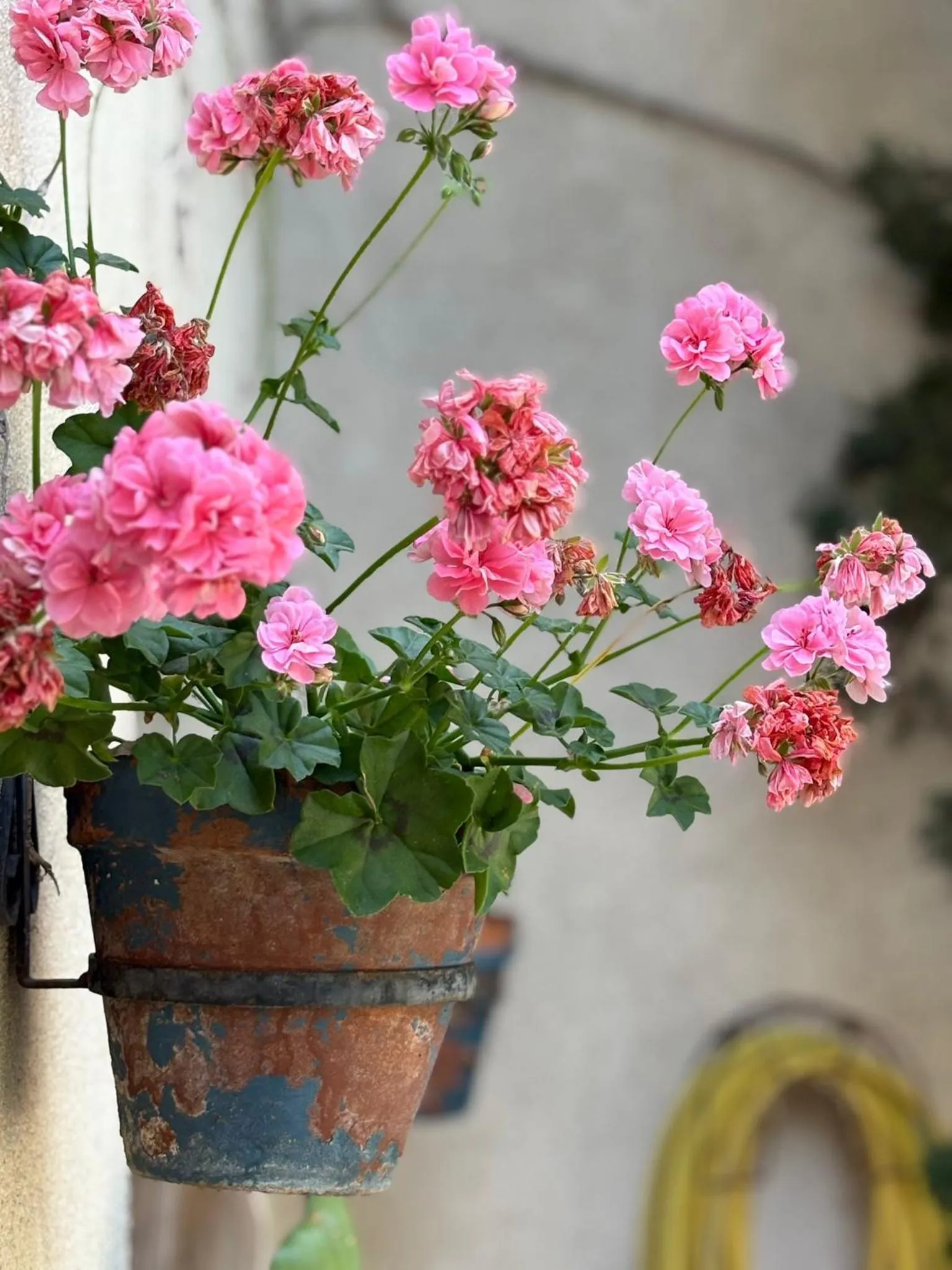 Garden in Hotel Rural La Vida de Antes