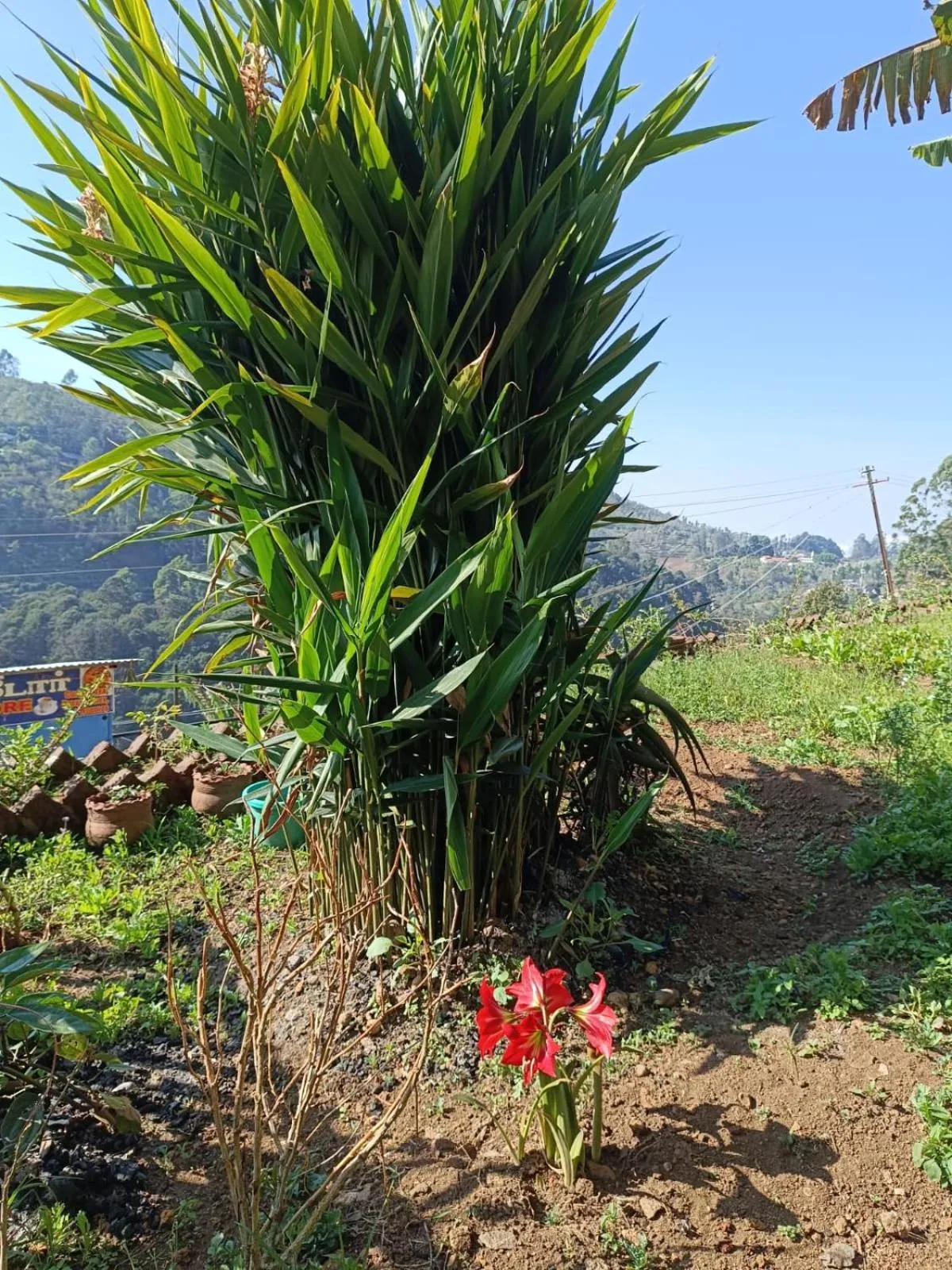 4REST INN PRIVATE LIMITED