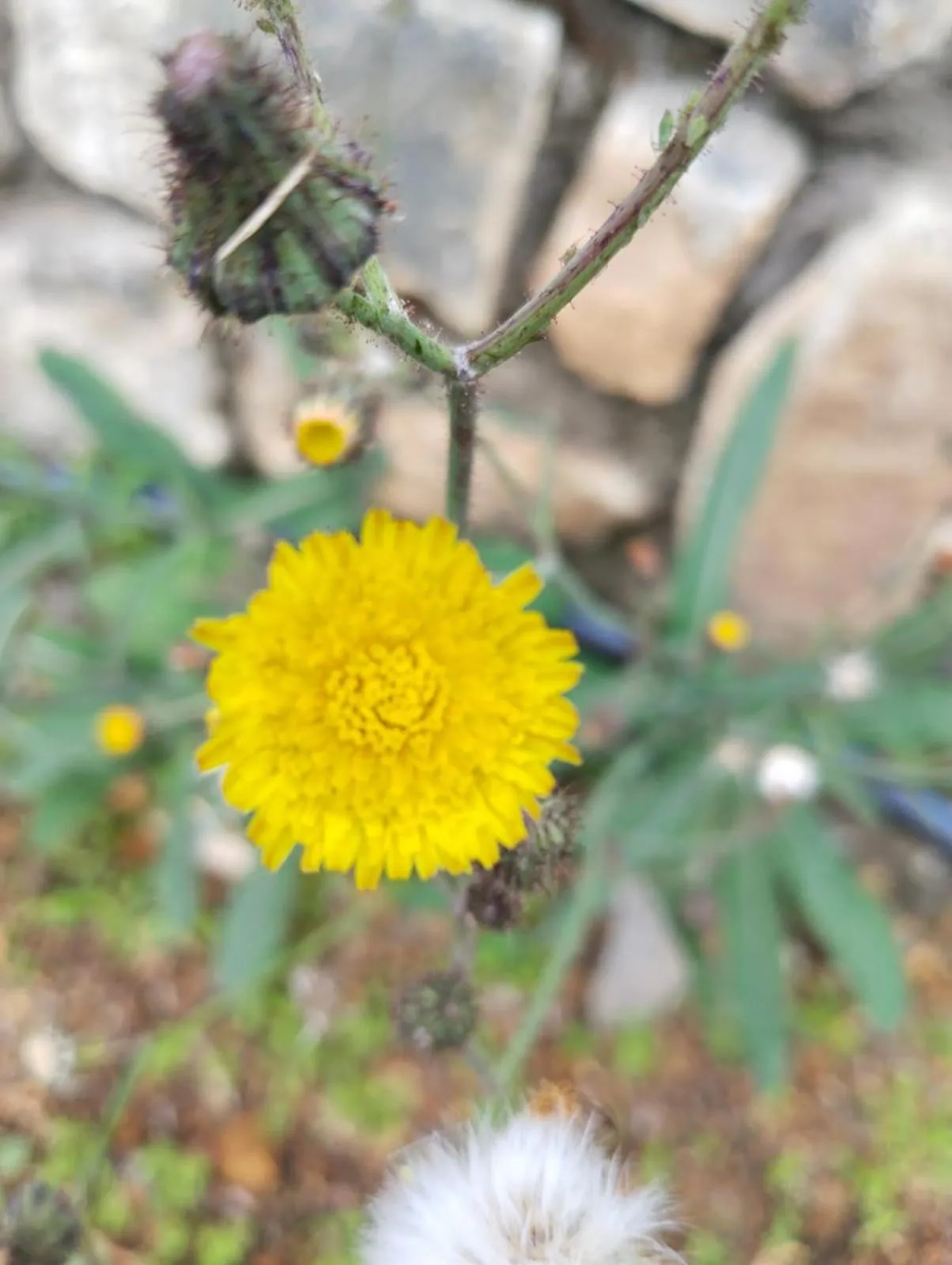 4REST INN PRIVATE LIMITED