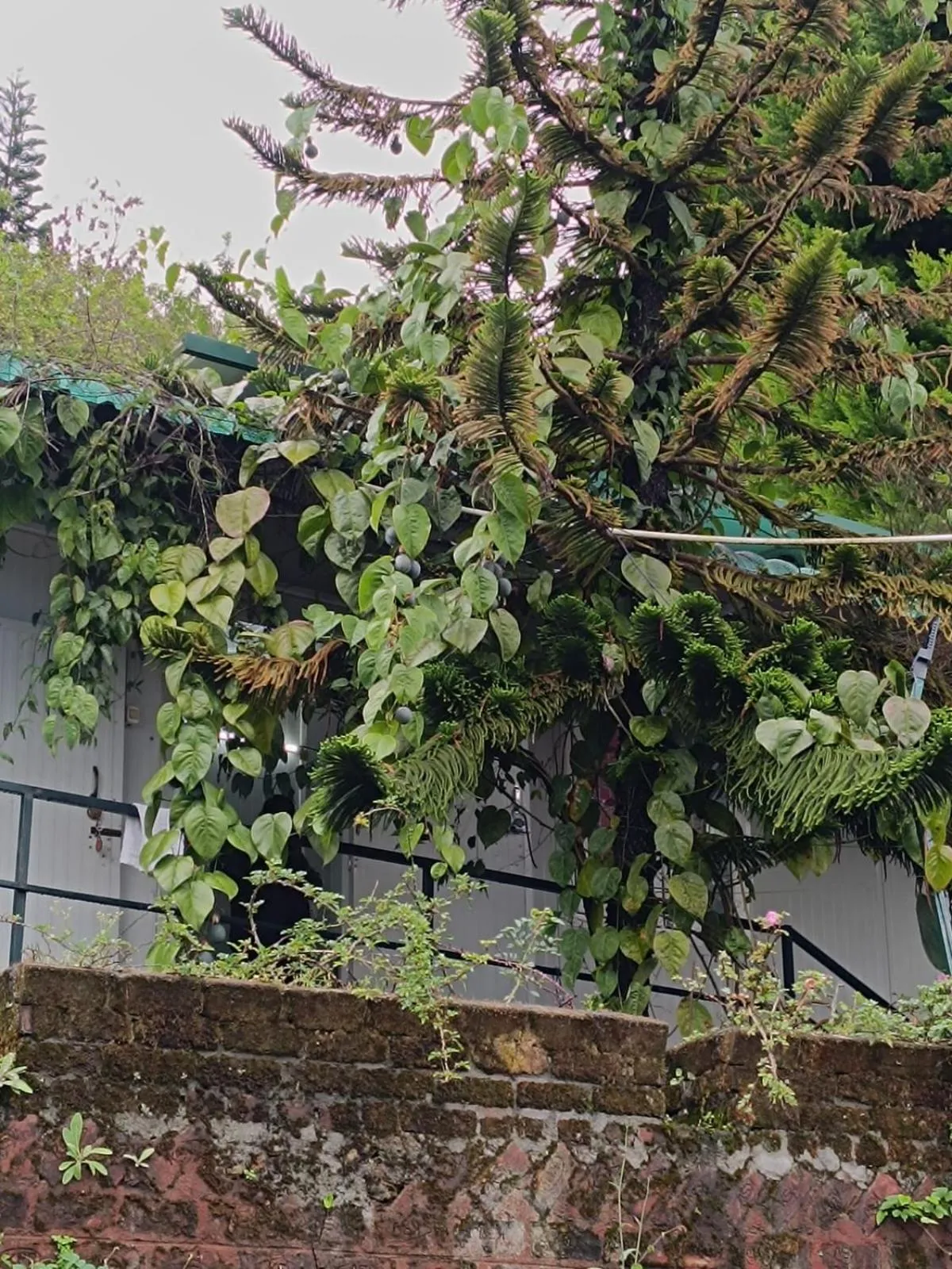 4REST INN PRIVATE LIMITED