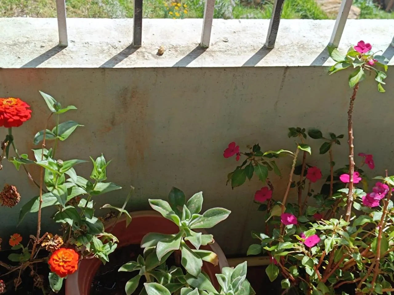 4REST INN PRIVATE LIMITED