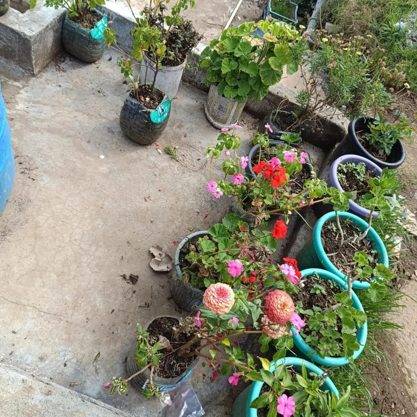 4REST INN PRIVATE LIMITED