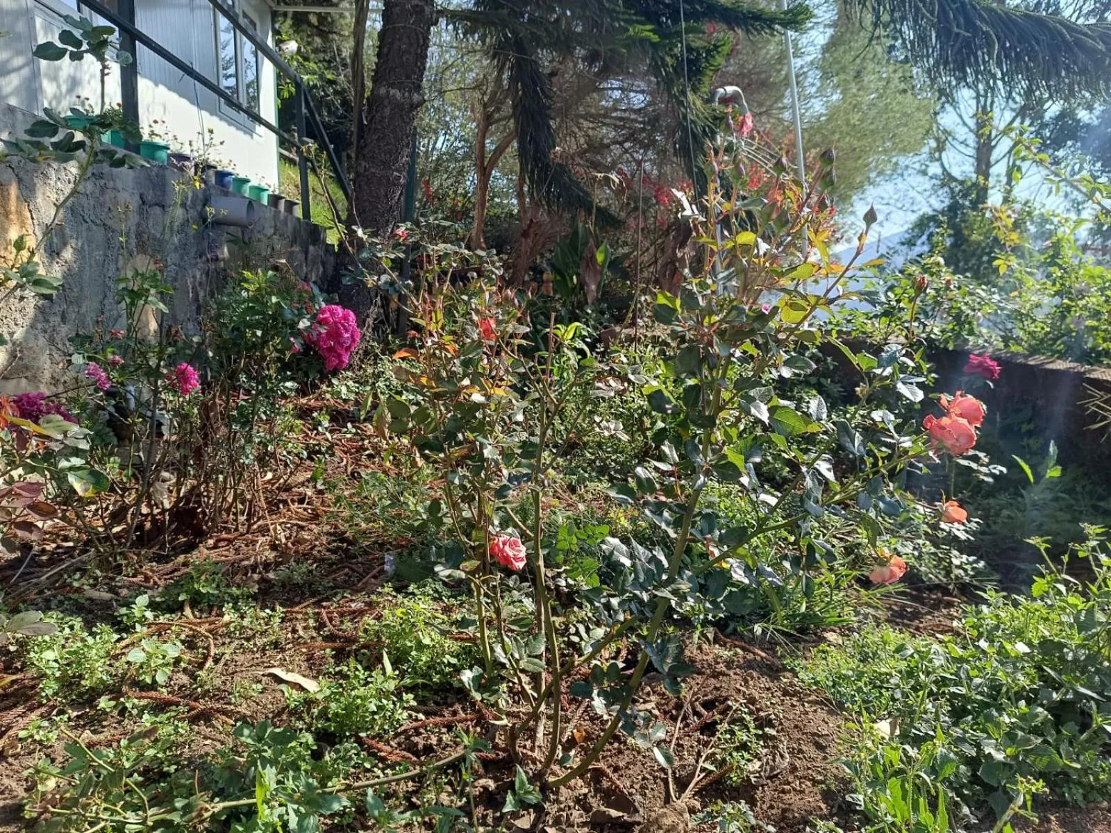 4REST INN PRIVATE LIMITED