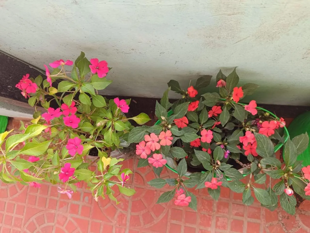 4REST INN PRIVATE LIMITED